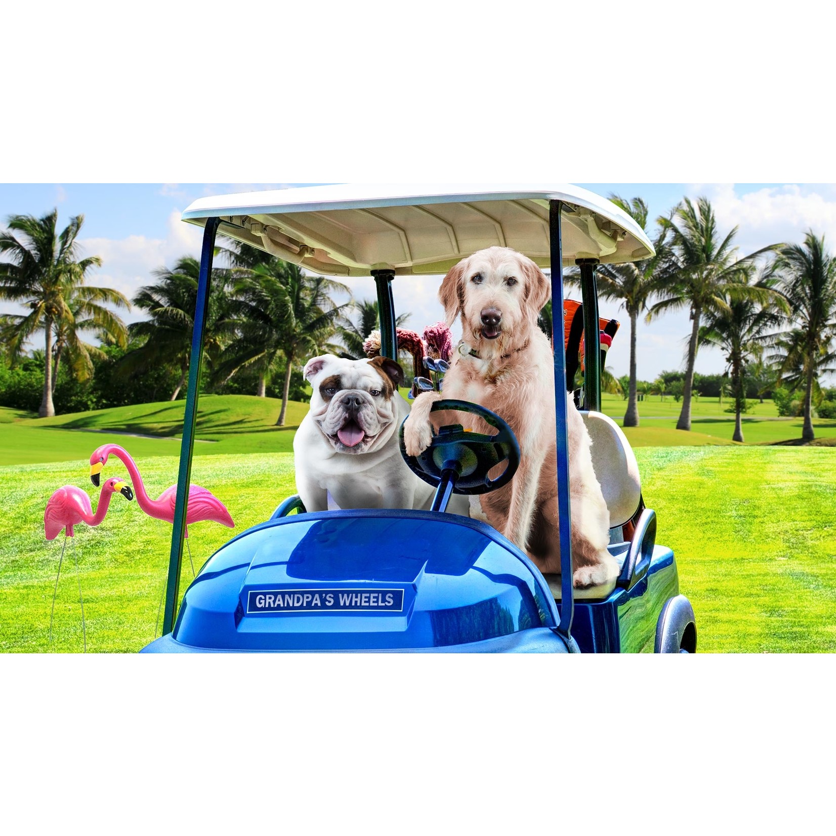 Fromm Fromm Dog Gold Reduced Activity & Senior 15lbs