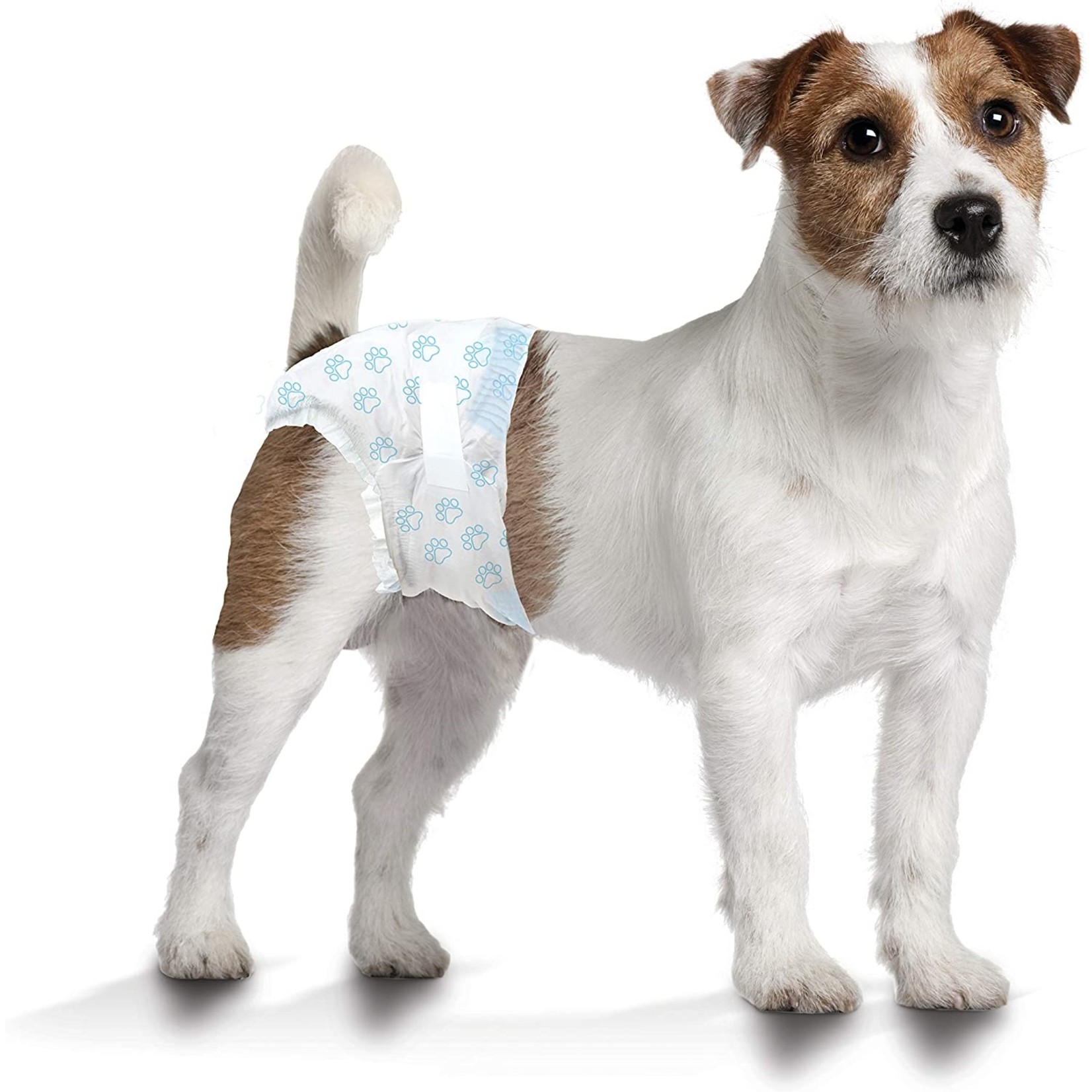 Four Paws Four Paws Wee Wee Diaper 12hr Small 12 count