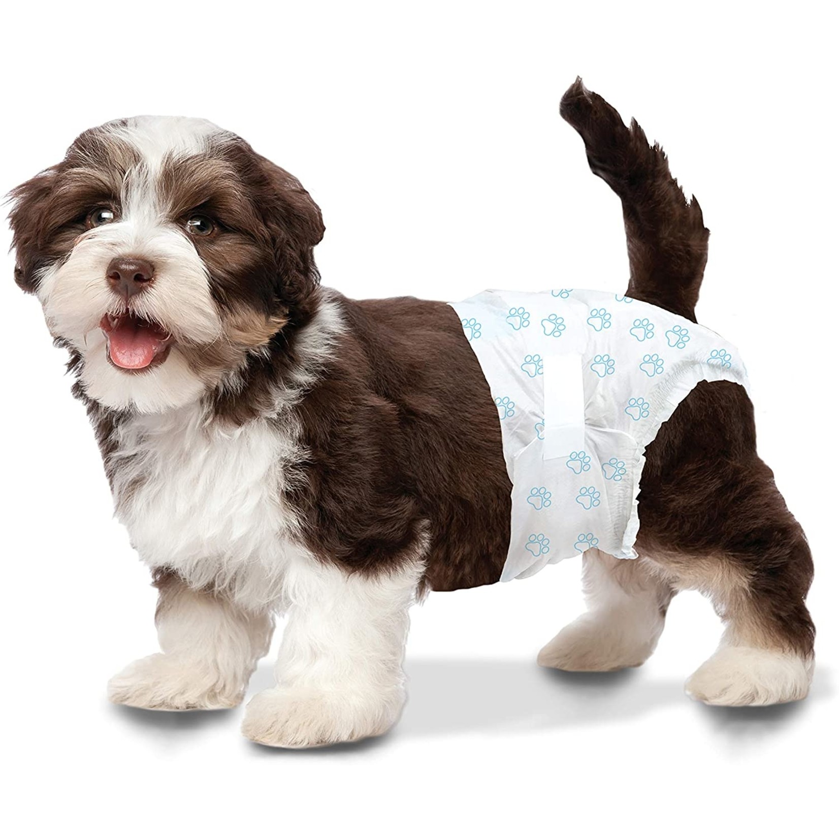 Four Paws Four Paws Wee Wee Diaper 12hr X-Small 12 count