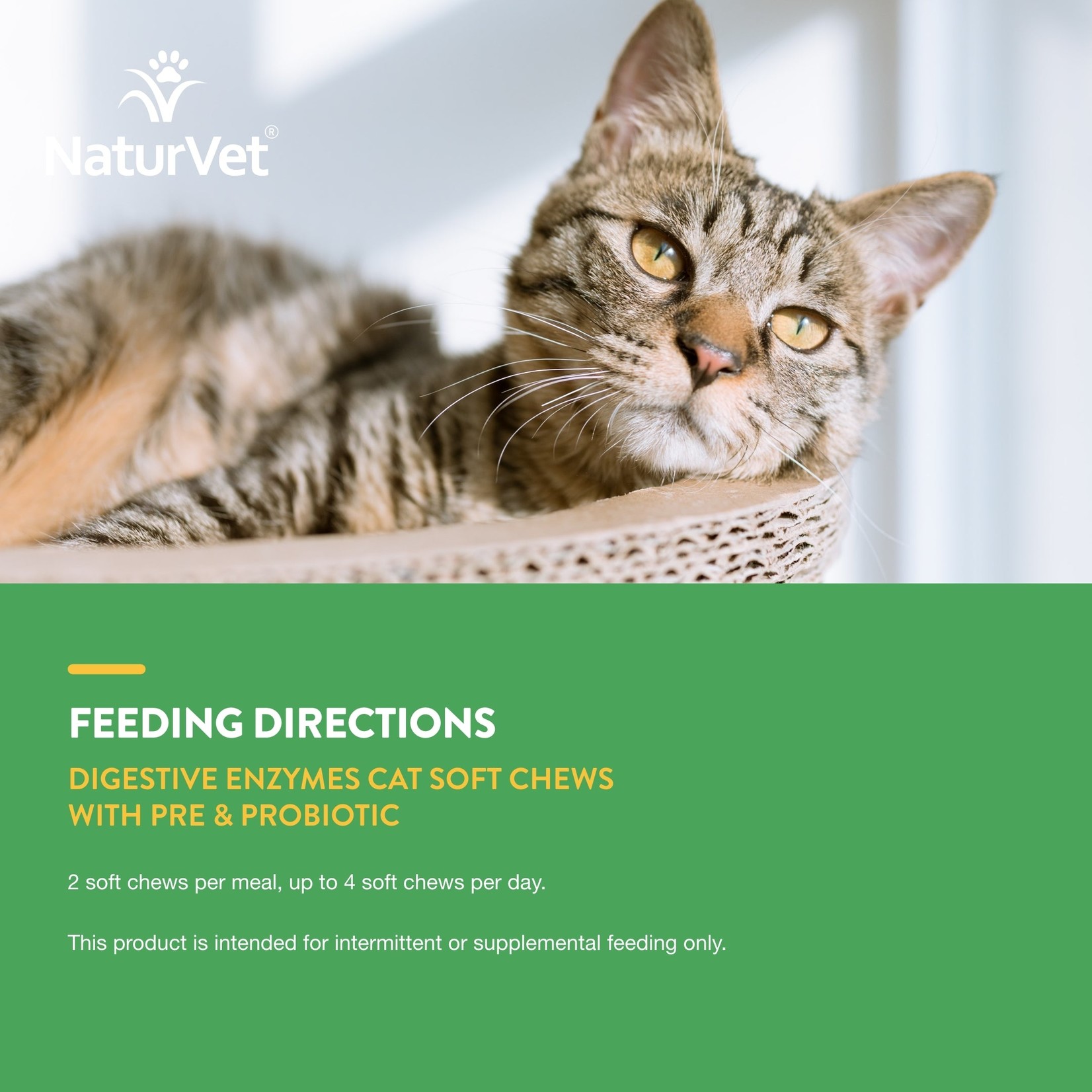 NaturVet NaturVet Cat Soft Chews Digestive Enzymes 60ct Plus Probiotic
