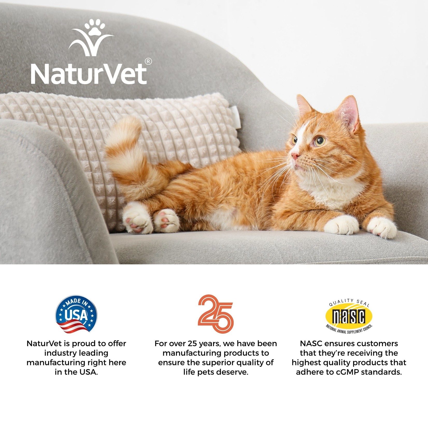NaturVet NaturVet Cat Soft Chews Digestive Enzymes 60ct Plus Probiotic