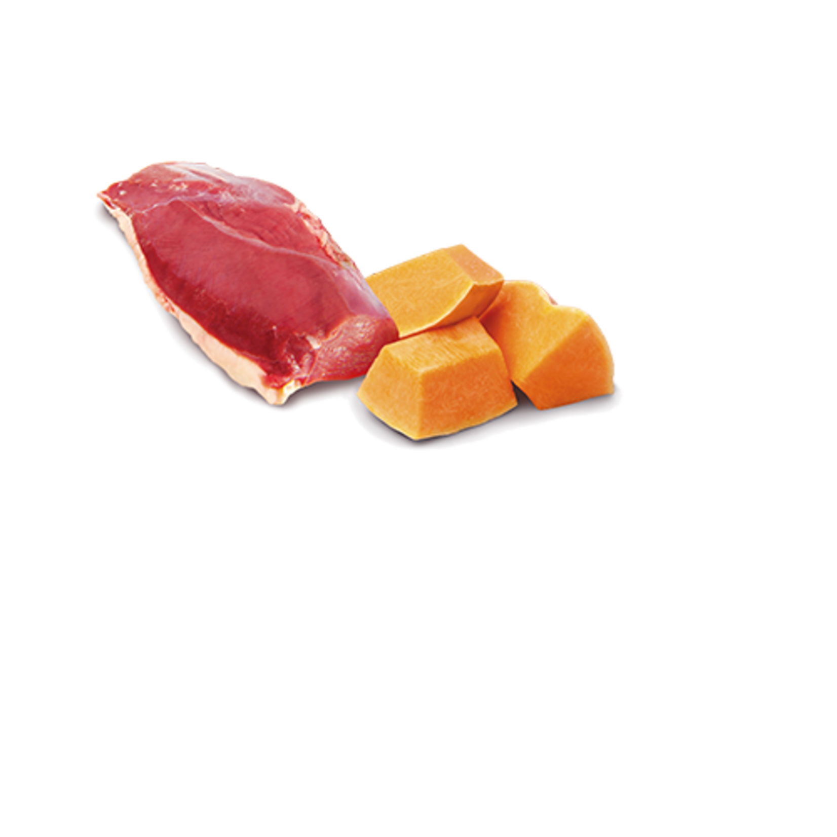N & D Farmina N&D Farmina Dog Pumpkin - Duck 10oz (case 6)