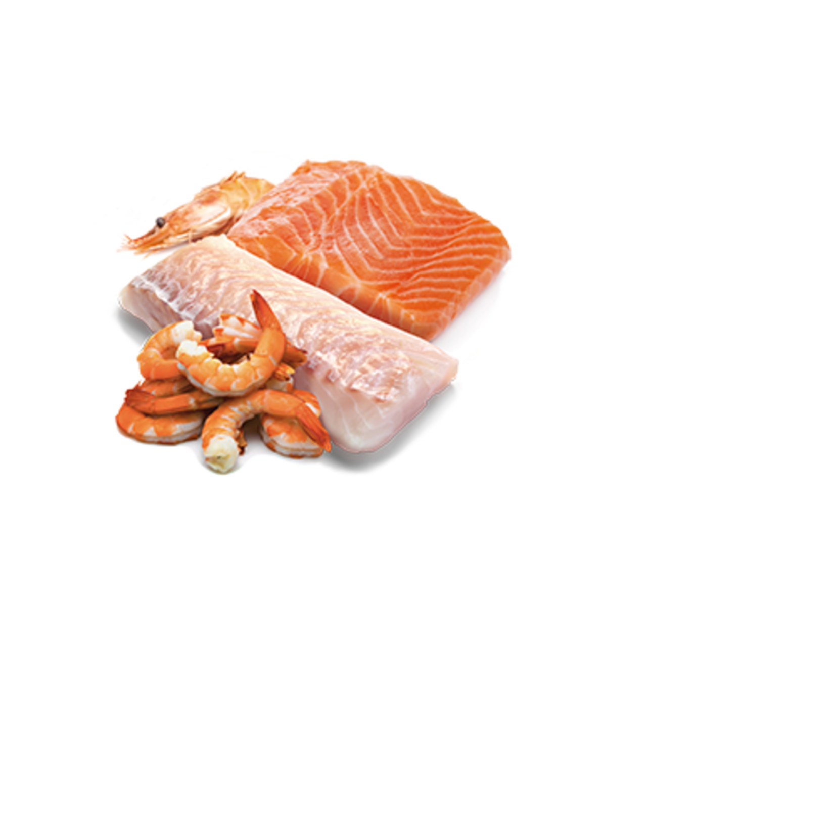 N & D Farmina N&D Farmina Cat Ocean - Salmon, Cod & Shrimp 2.5oz (case 24)