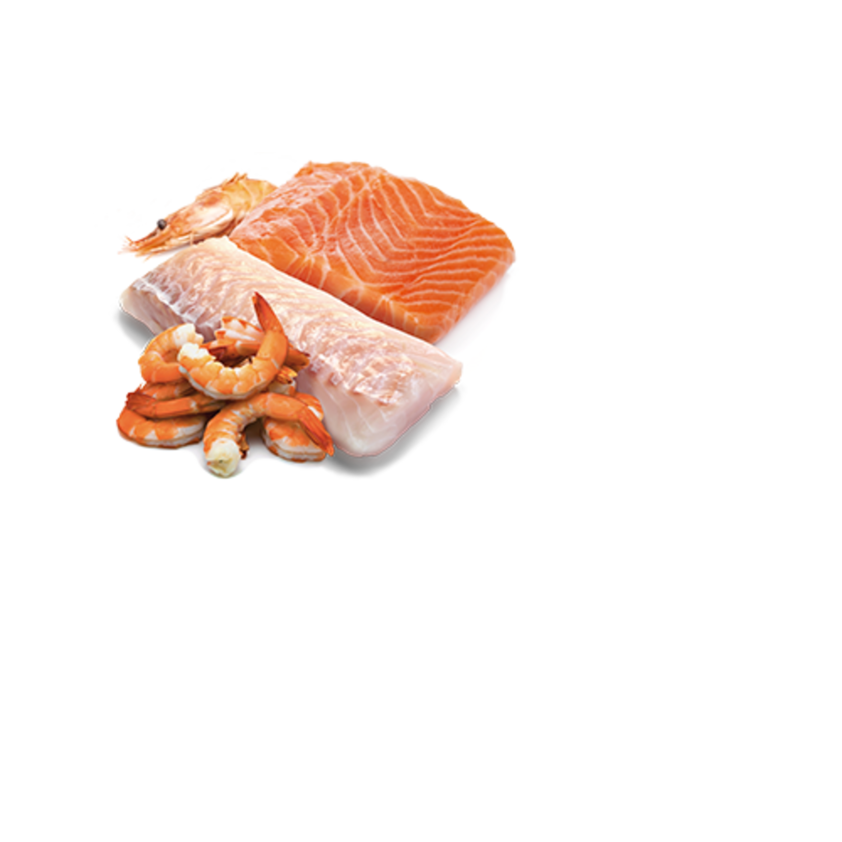 N & D Farmina N&D Farmina Salmon, Cod & Shrimp Ocean Stew Cat 2.5oz