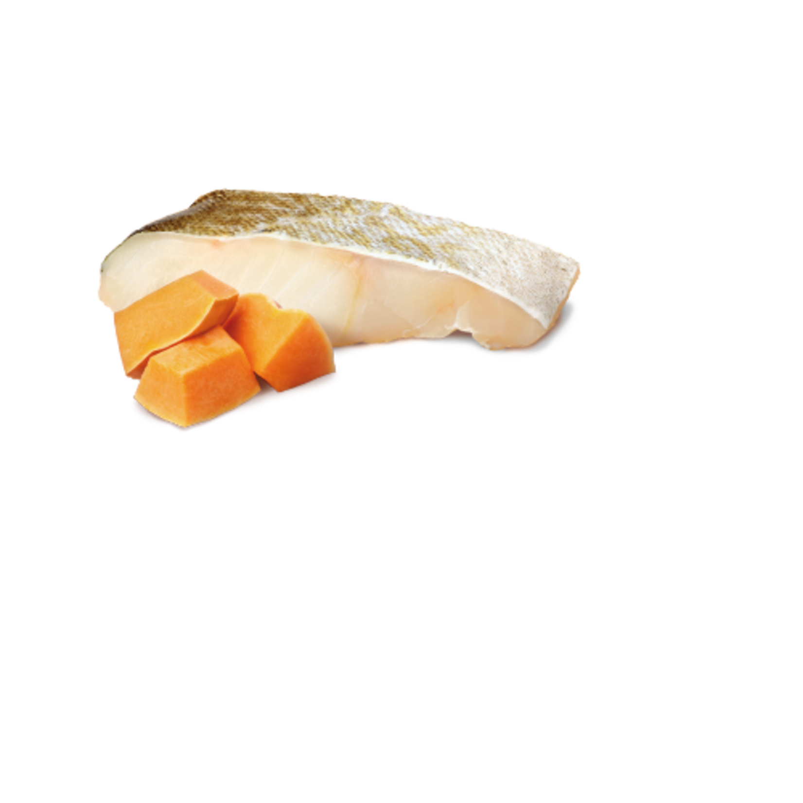 N & D Farmina N&D Farmina Puppy Ocean - Cod & Pumpkin 10oz (case 6)