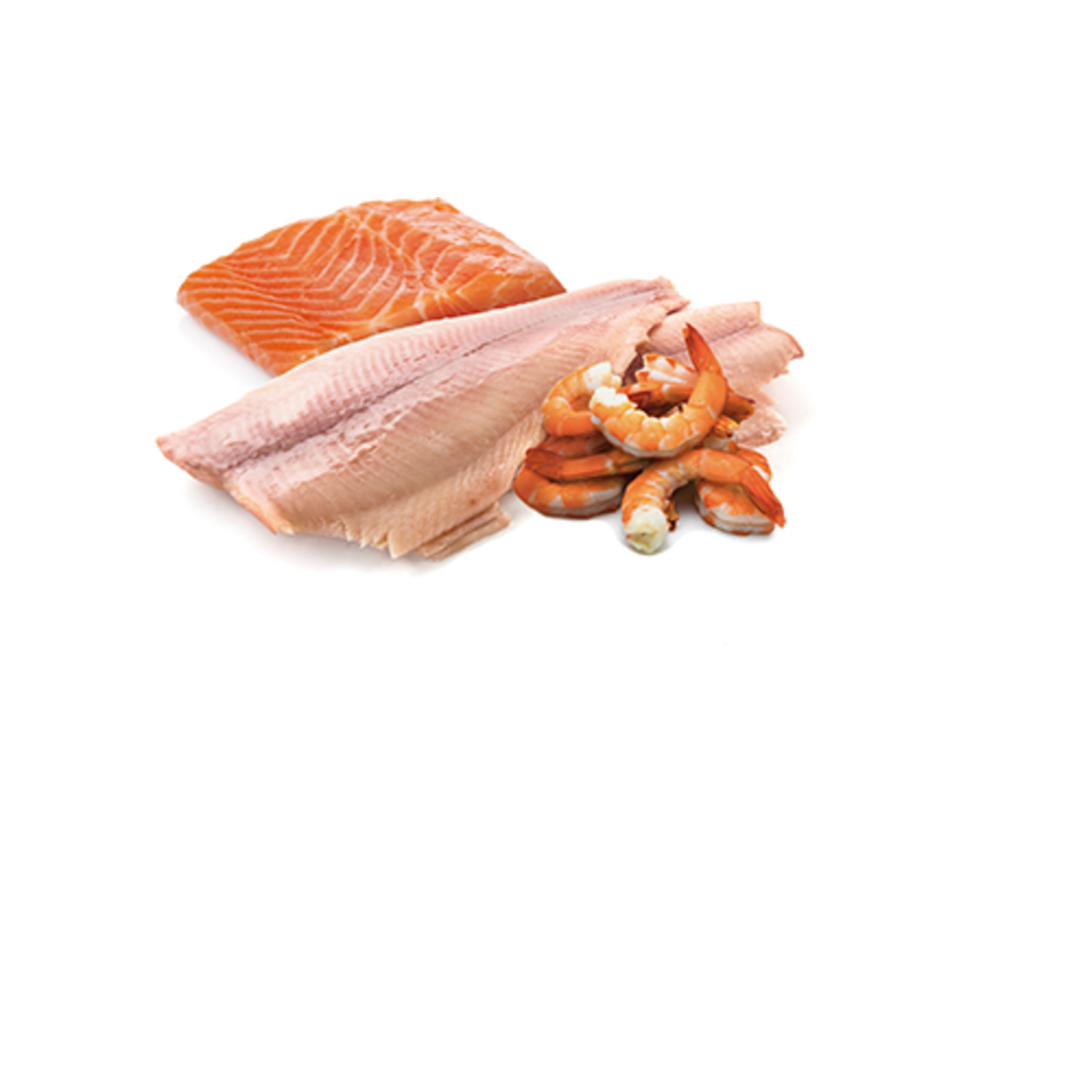 N & D Farmina N&D Farmina Cat Ocean - Trout, Salmon & Shrimp 2.5oz (case 24)