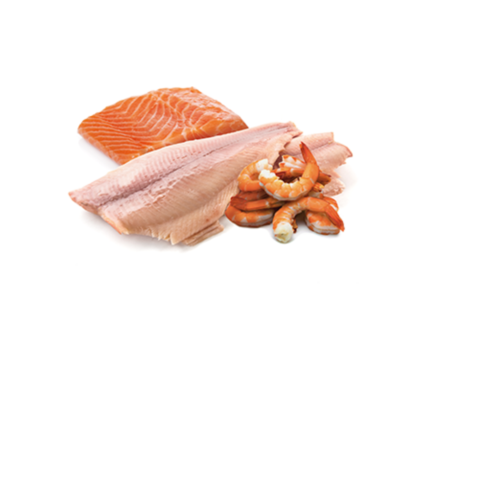 N & D Farmina N&D Farmina Trout Salmon Shrimp Ocean 2.5oz