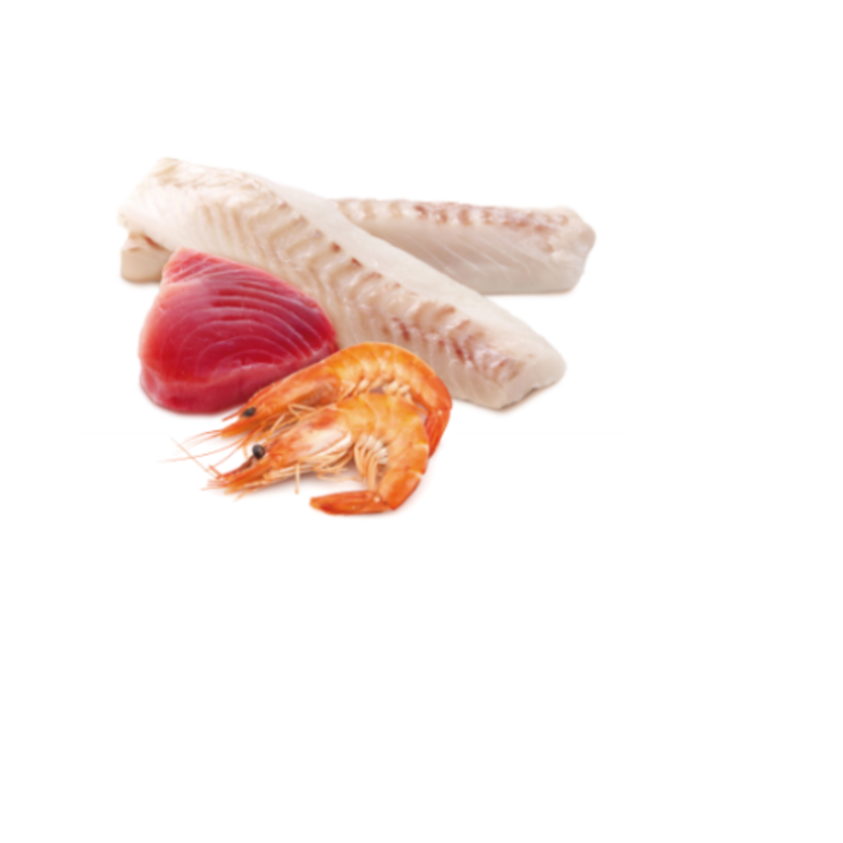 N & D Farmina N&D Farmina Cat Ocean - Bonito, Cod & Shrimp 2.5oz (case 24)