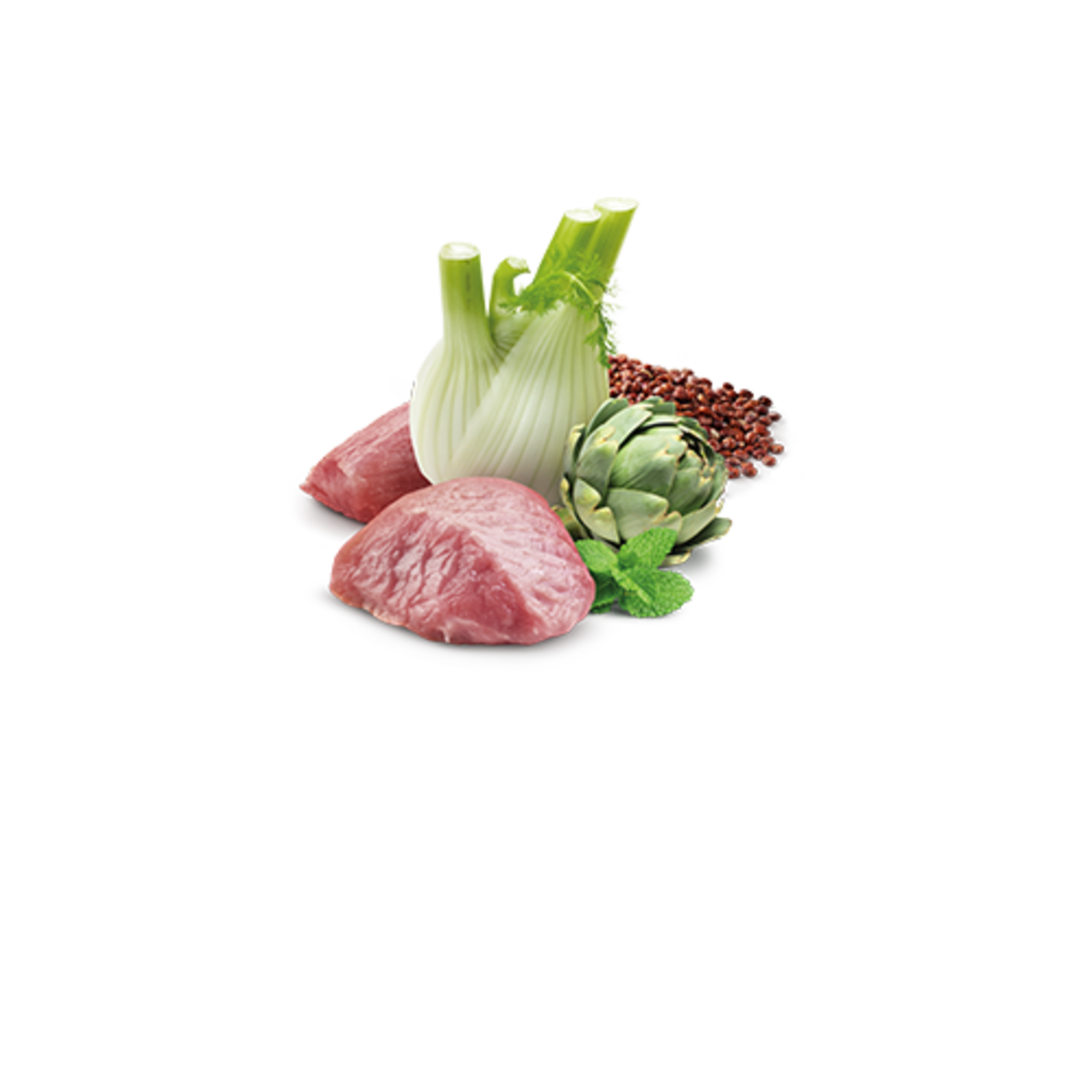N & D Farmina N&D Farmina Dog Quinoa Digestion - Lamb 10oz (case 6)