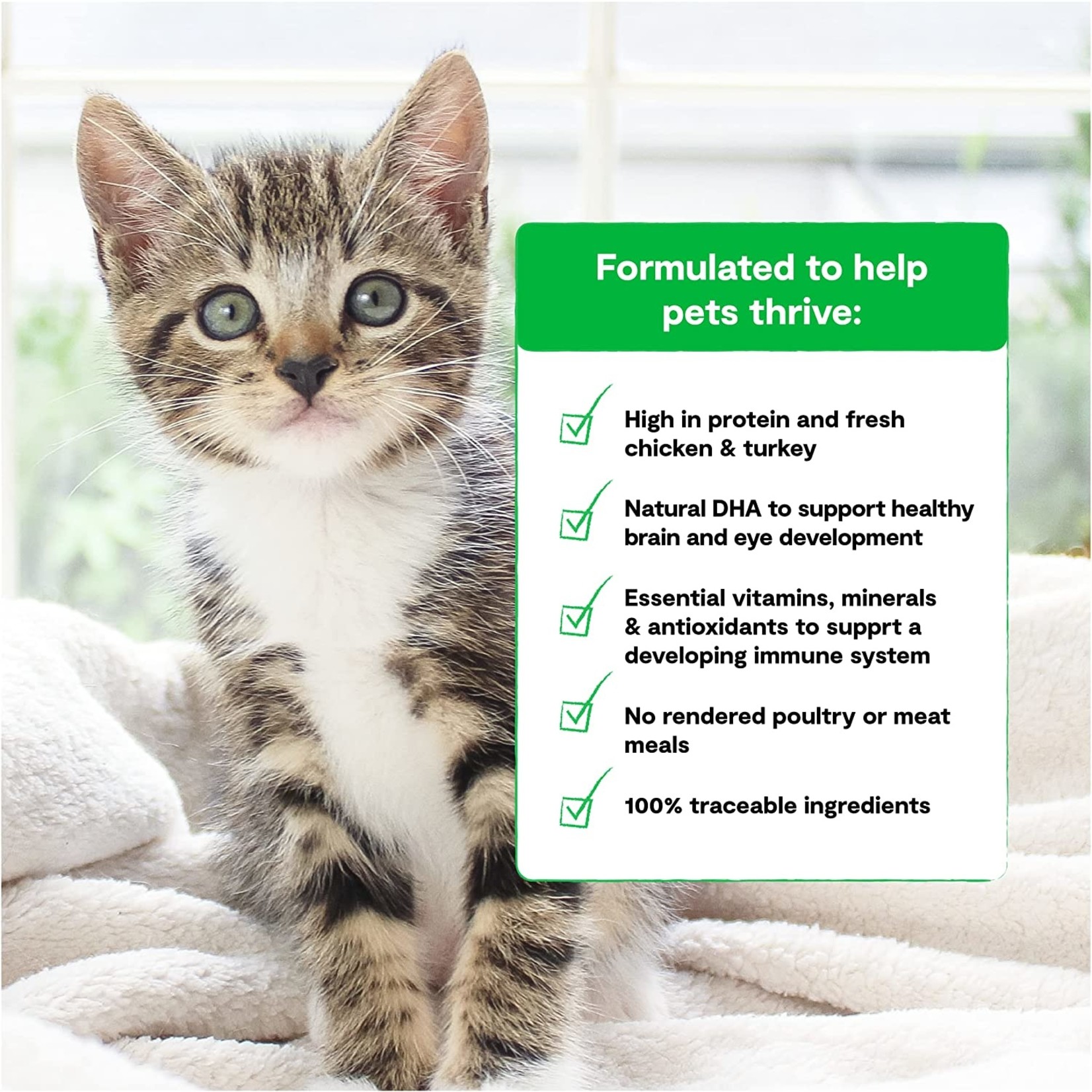 Open Farm Open Farm Cat Chicken & Turkey Kitten 4lbs