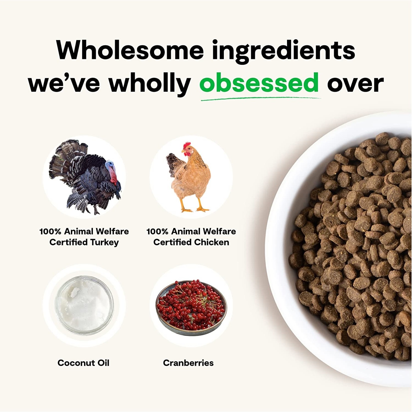 Open Farm Open Farm Cat Chicken & Turkey Kitten 4lbs