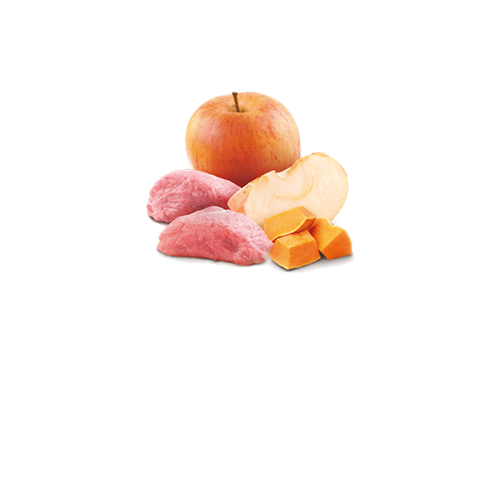 N & D Farmina N&D Farmina Dog Pumpkin - Boar & Apple 10oz (case 6)