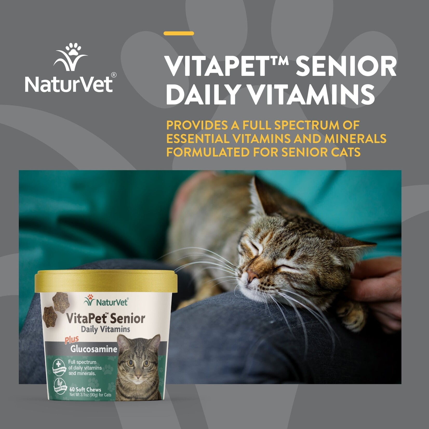 NaturVet Naturvet Cat Vita Senior Chew Cup 60 Ct