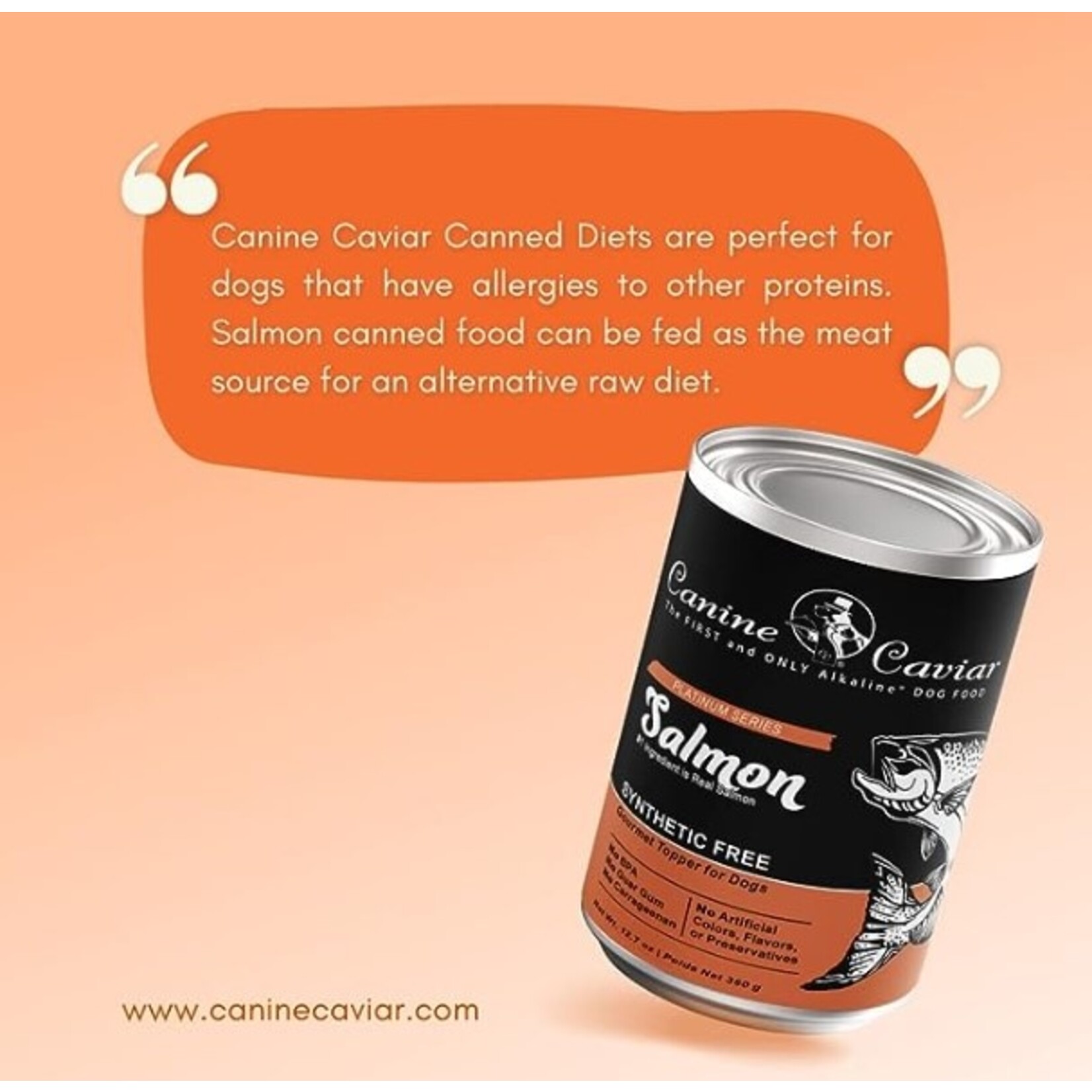 Canine Caviar Canine Caviar Salmon Synthetic Free 12.7oz
