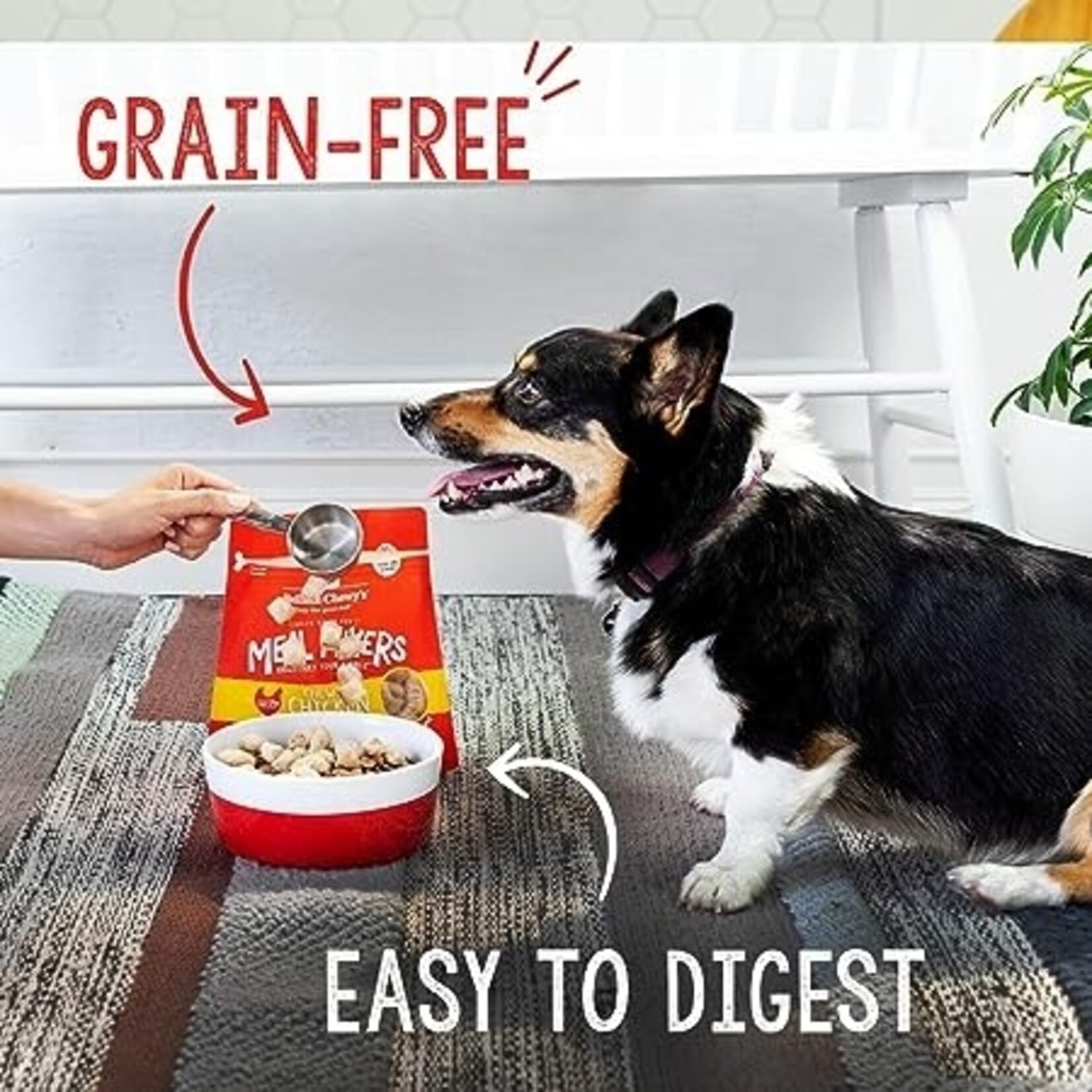 Stella & Chewy Stella and Chewy's Freeze Dried Raw Super Beef Meal Mixers 3.5oz