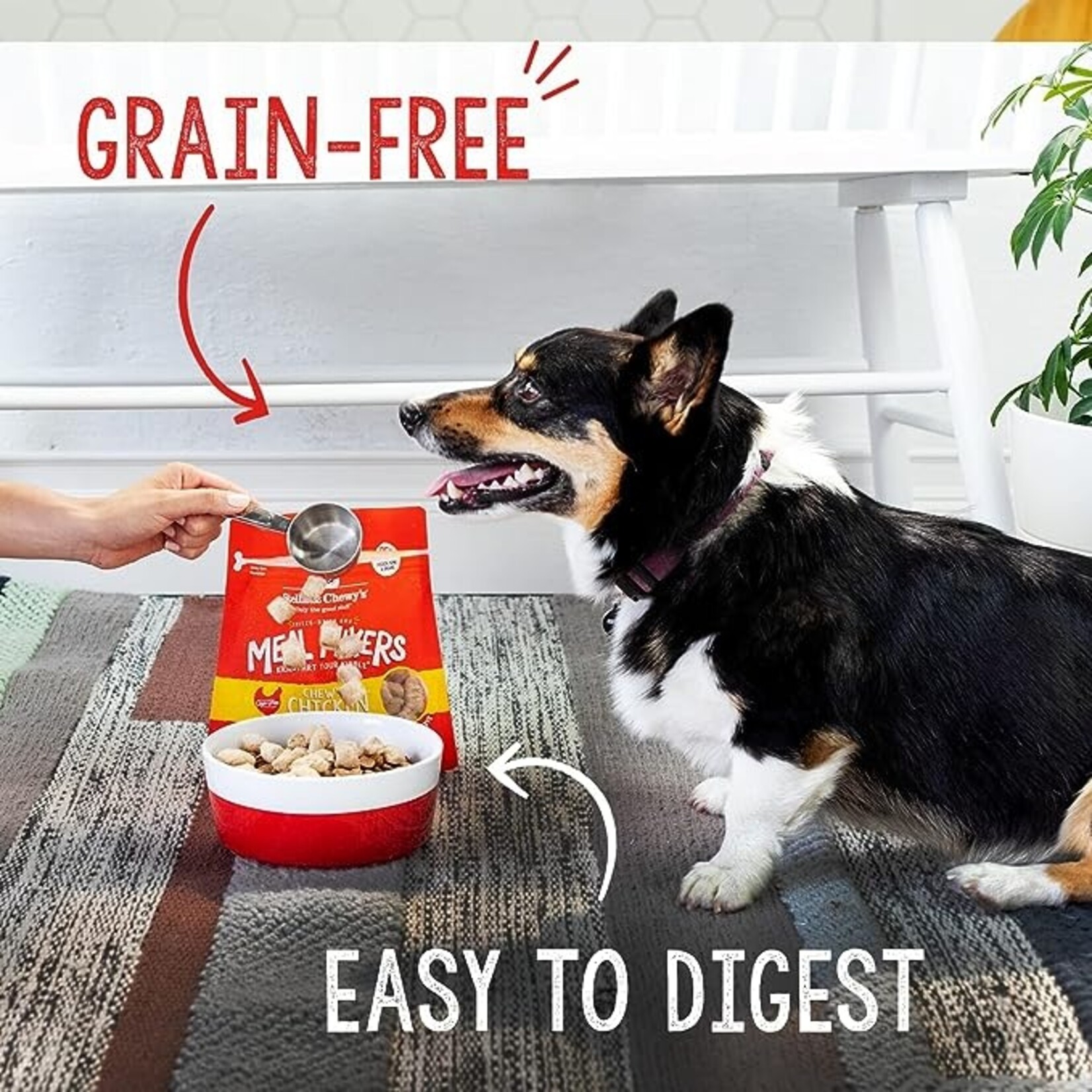 Stella & Chewy Stella and Chewy's Freeze Dried Raw Tantalizing Turkey Meal Mixers 3.5oz