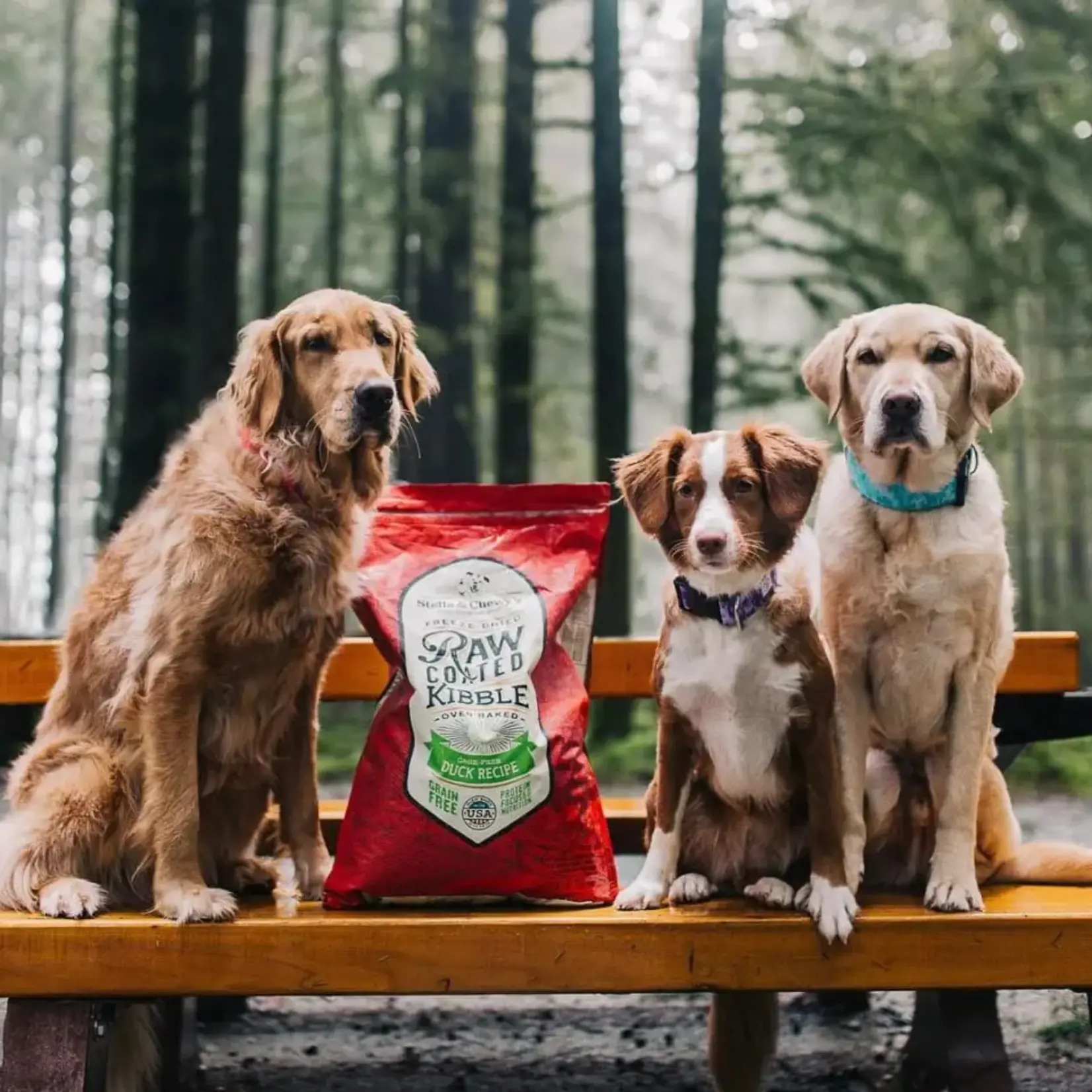 Stella & Chewy Stella & Chewy Duck Raw Coated Grain Free 22lbs