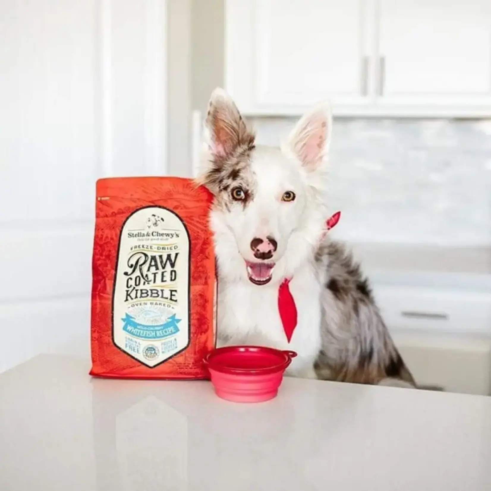 Stella & Chewy Stella & Chewy Lamb Raw Coated Grain Free 22lbs