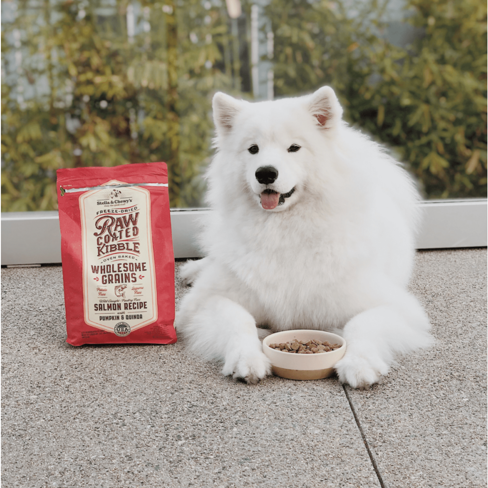 Stella & Chewy Stella & Chewy Salmon, Pumpkin & Quinoa Wholesome Grain Dog 22lbs