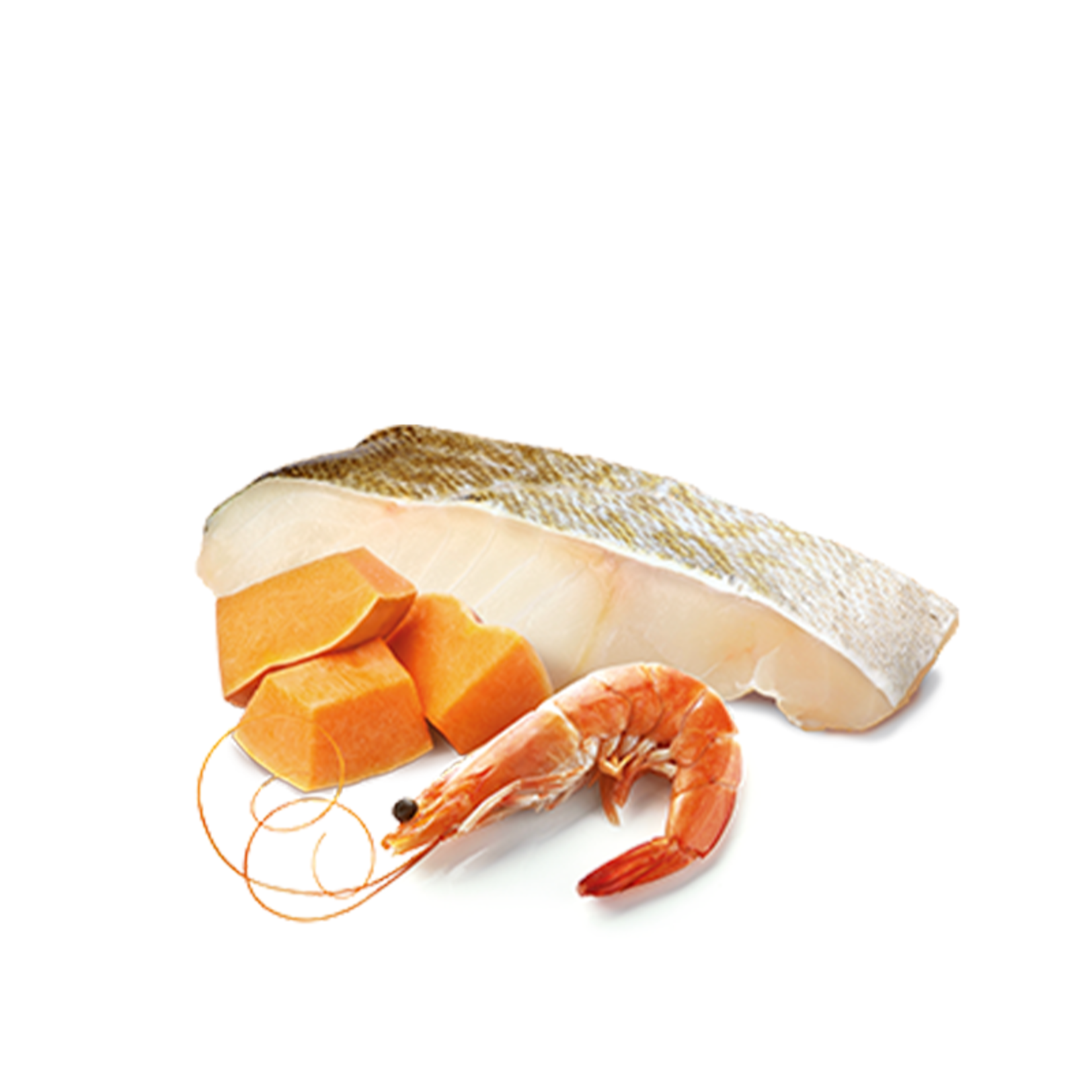 N & D Farmina N&D Farmina Cod, Shrimps & Pumpkin Ocean Cat 2.5oz