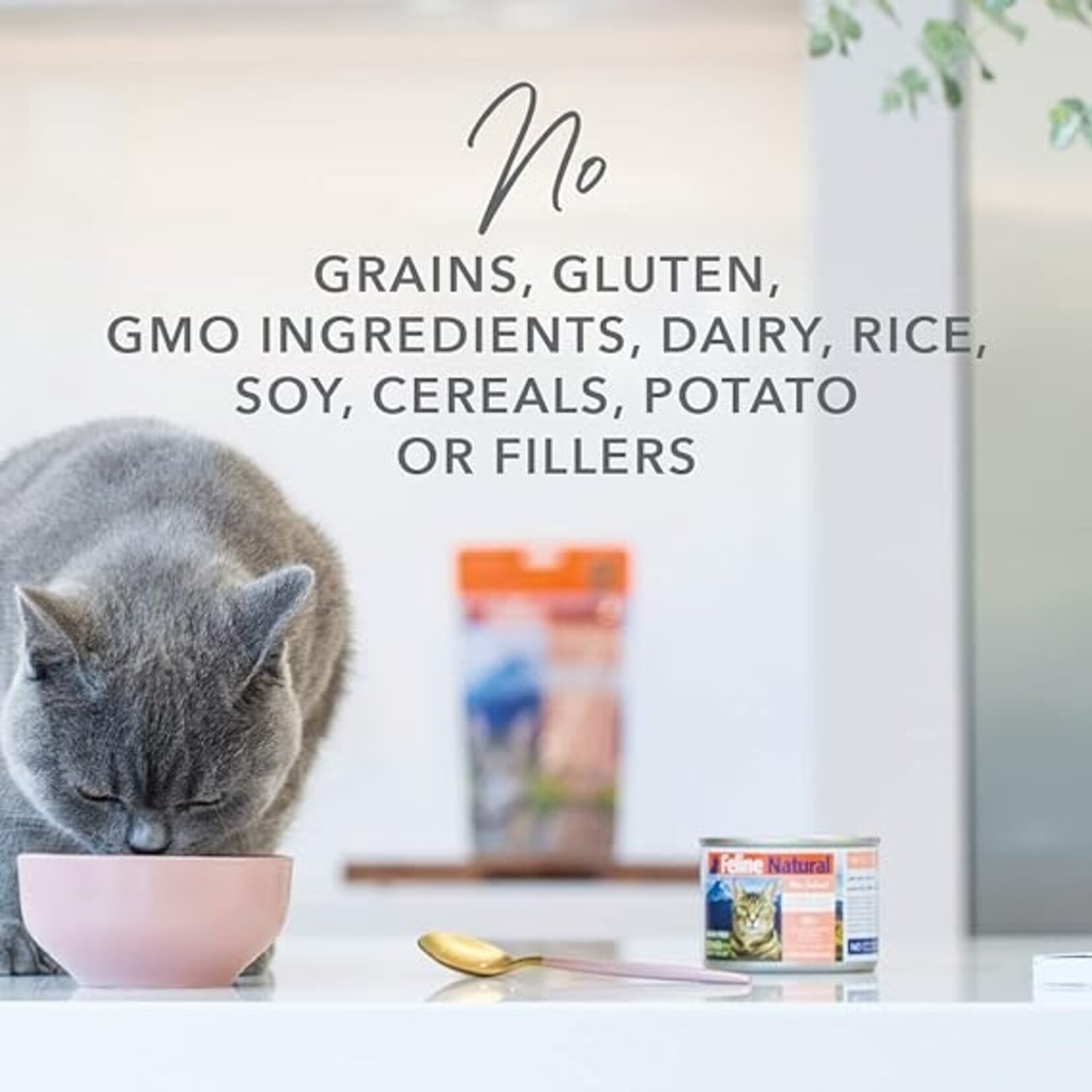 Feline Natural Feline Natural Chicken Feast 6oz (case 12)