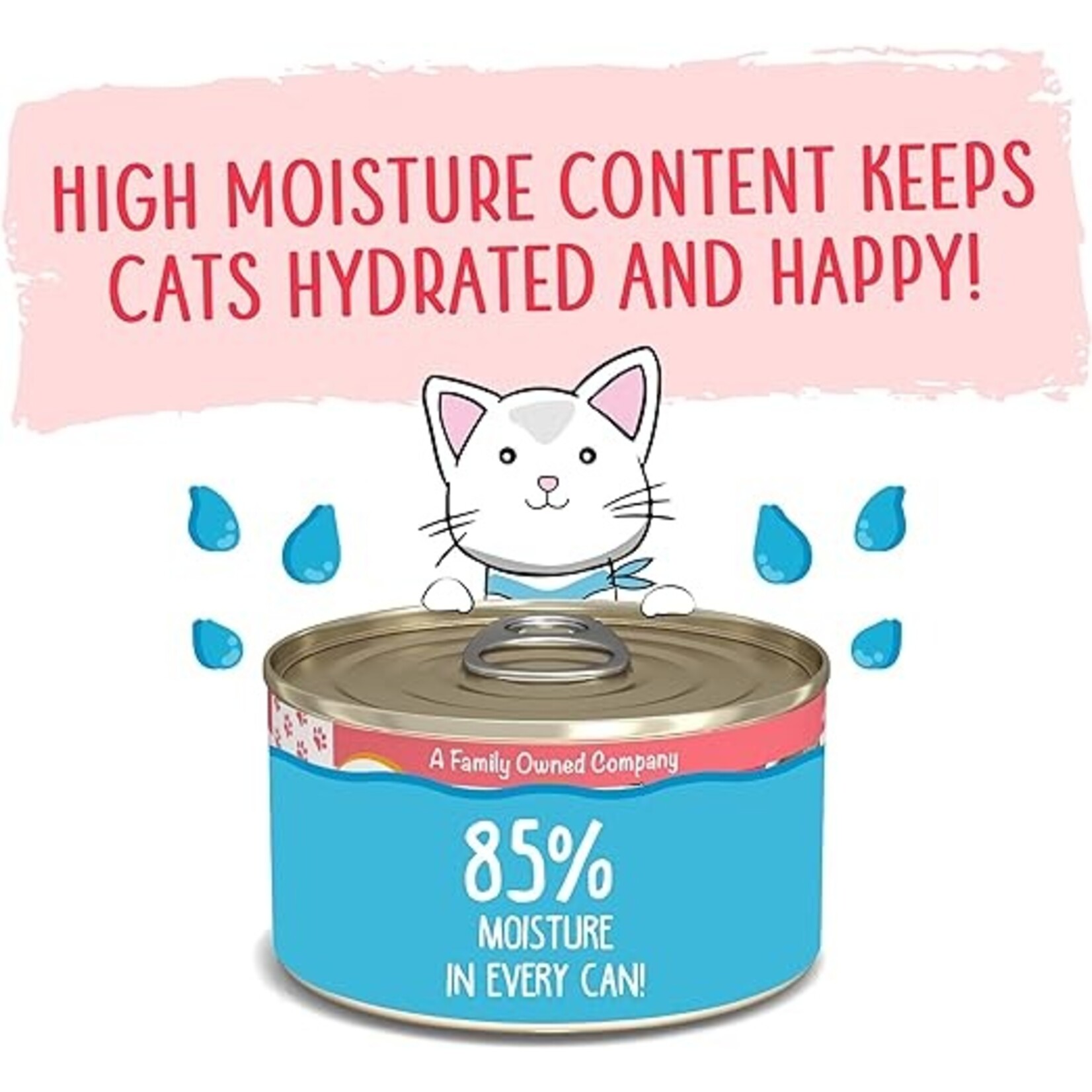 Weruva Weruva Jolly Good Fares Cat Pate 3oz (case 12)