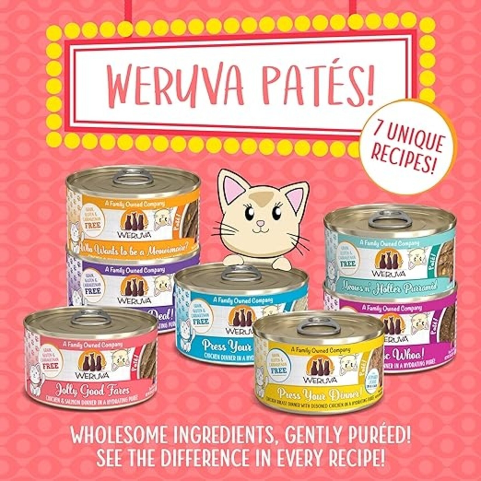 Weruva Weruva Jolly Good Fares Cat Pate 3oz (case 12)