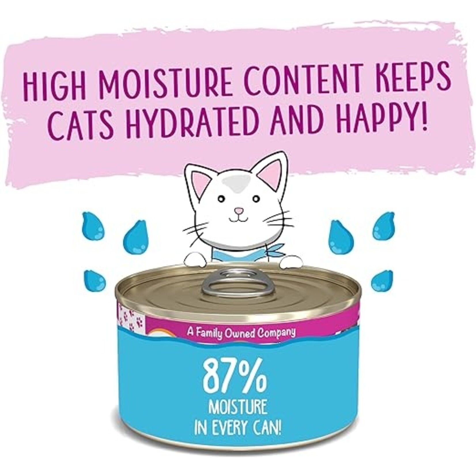 Weruva Weruva Tic Tac Whoa Cat Pate 3oz (case 12)