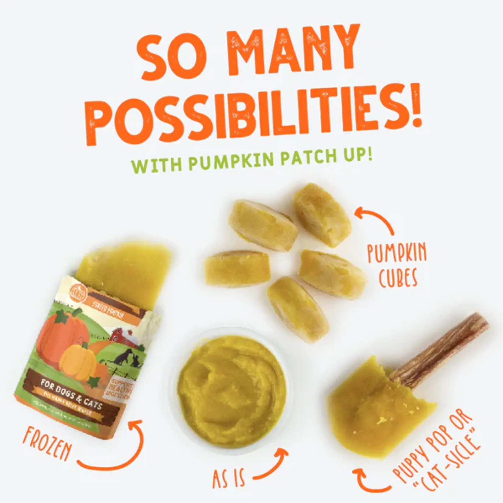 Weruva WERUVA DOG PUMPKIN PATCH 2.8OZ POUCH (12 PACK)