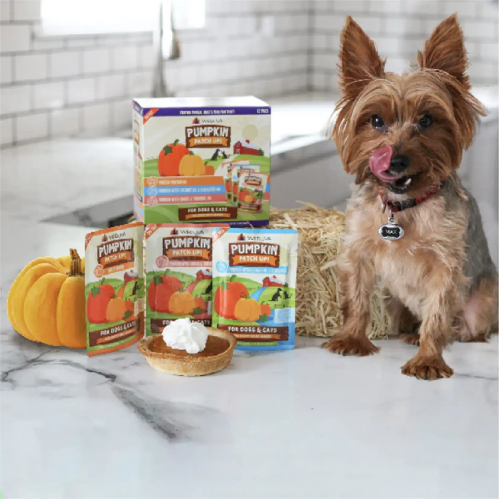 Weruva WERUVA DOG PUMPKIN PATCH 2.8OZ POUCH (12 PACK)
