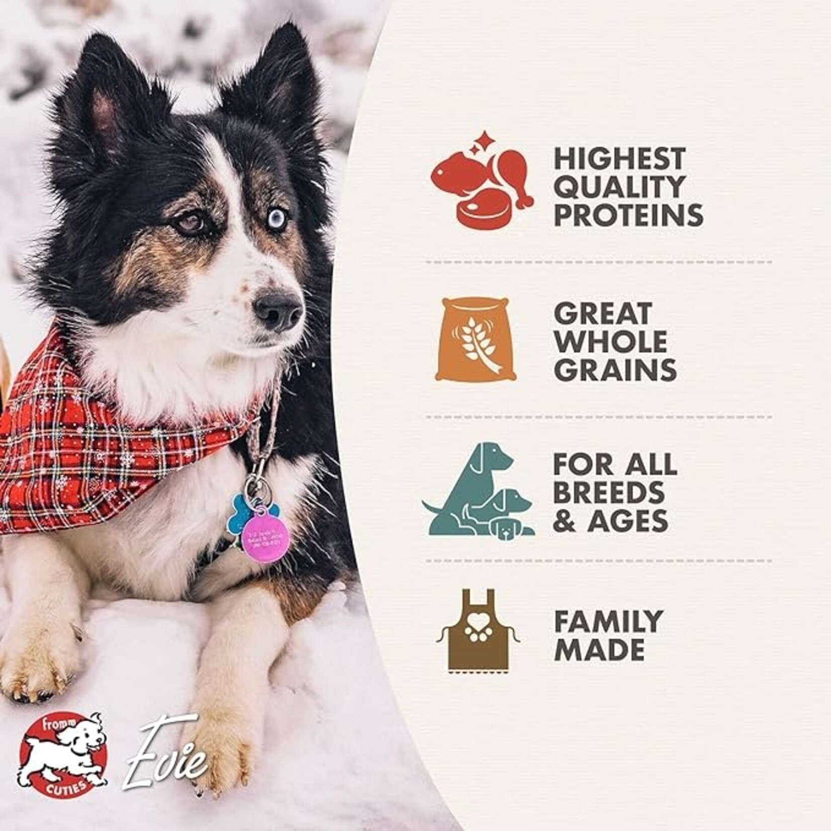 Fromm Fromm Dog 4-Star Grain Free Rancherosa 26lbs