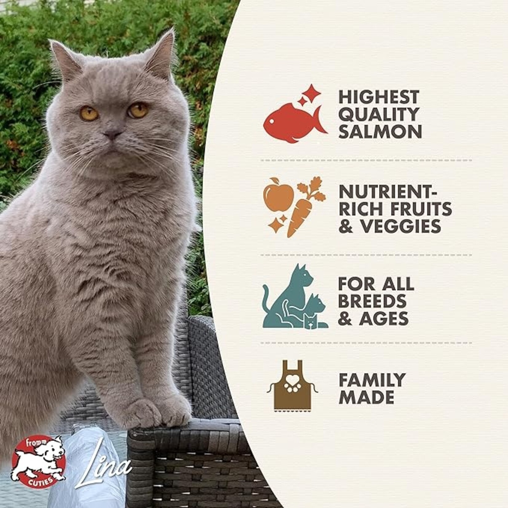 Fromm Fromm Cat 4-Star Grain Free Salmon Tunachovy 4lbs