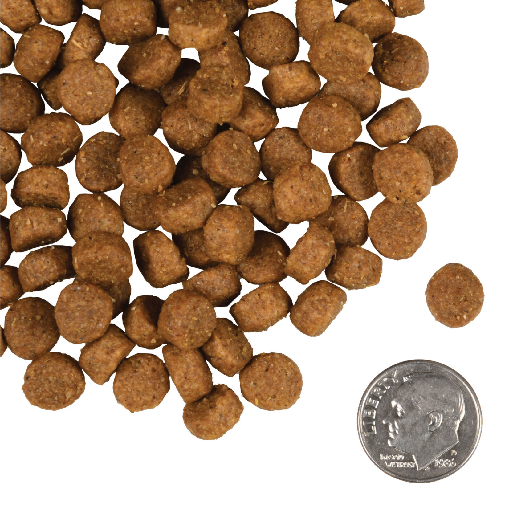Fromm Fromm Dog Gold Small Breed Adult 15lbs