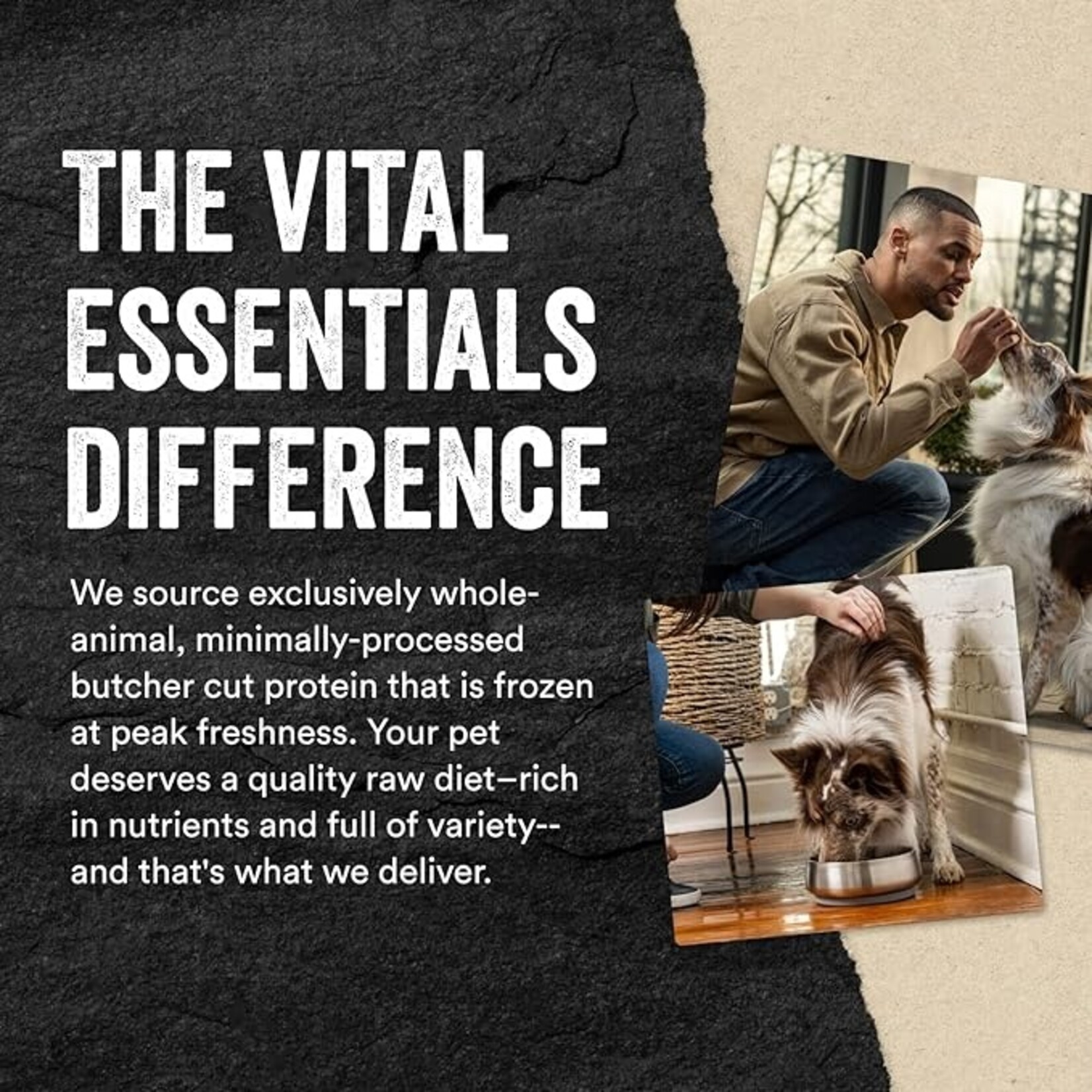 VITAL ESSENTIALS Vital Essentials Dog Freeze-dried Treat Minnows 2.5oz