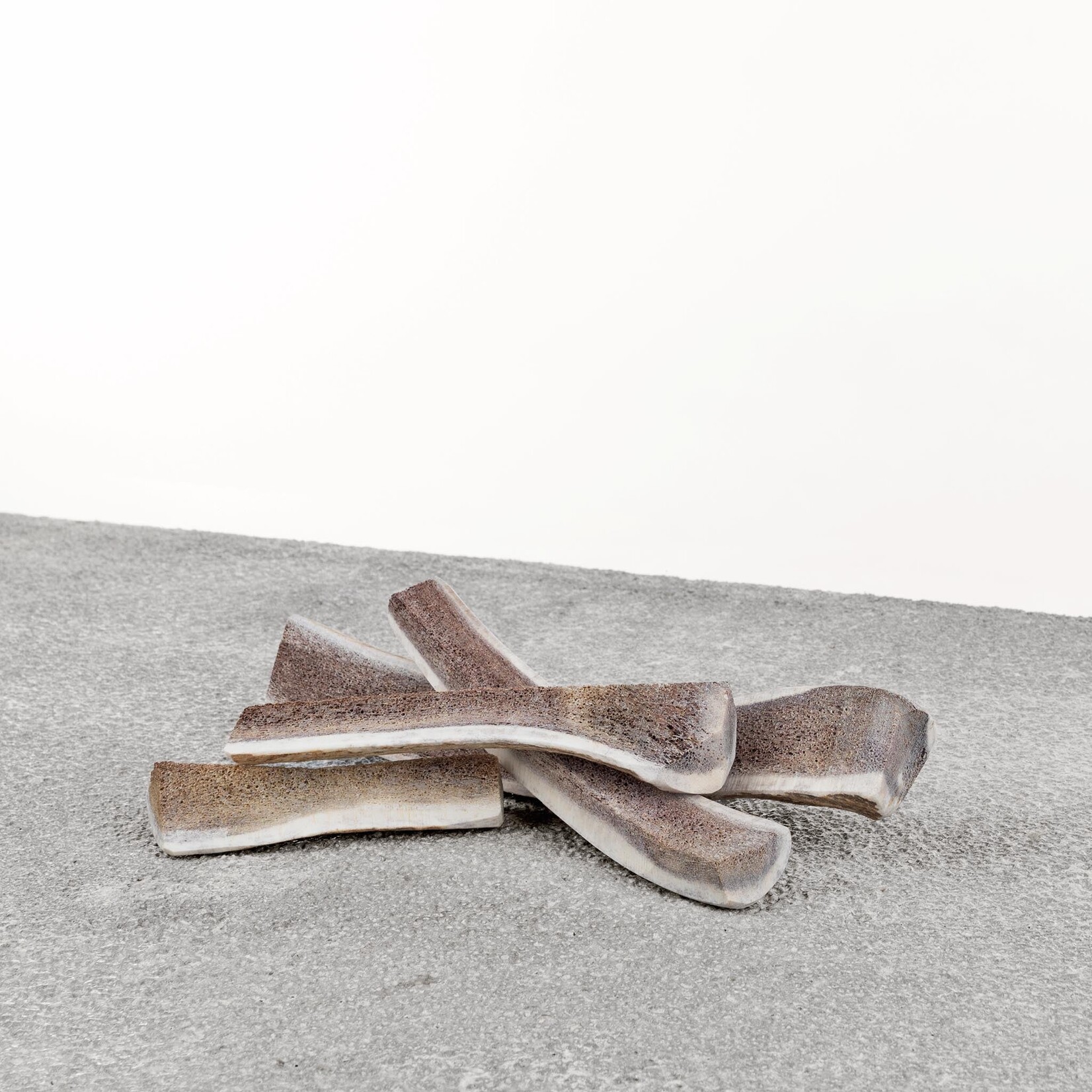 Primal Primal Elk Antler Split 6-7" Medium