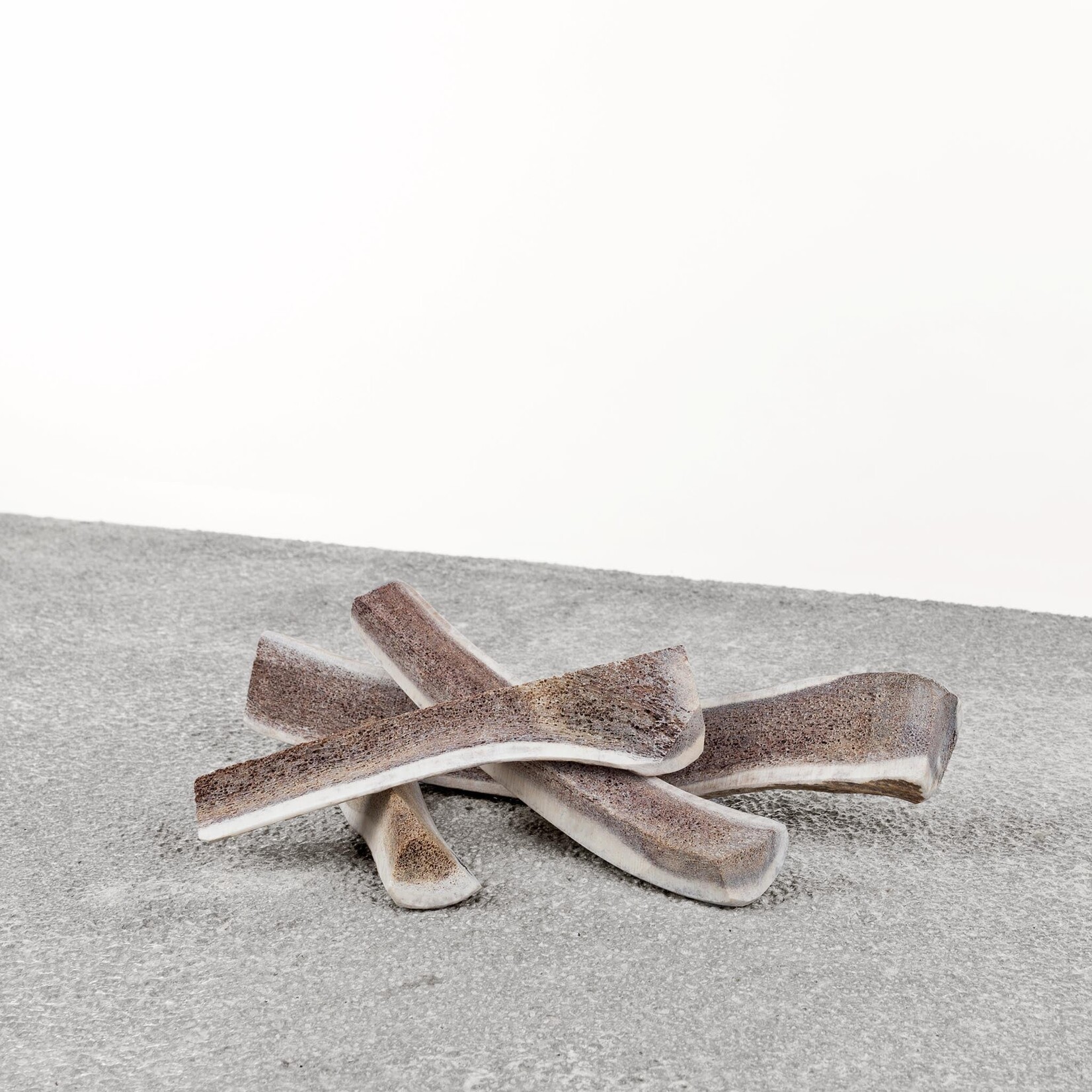 Primal Primal Elk Antler Split 6-7" Medium
