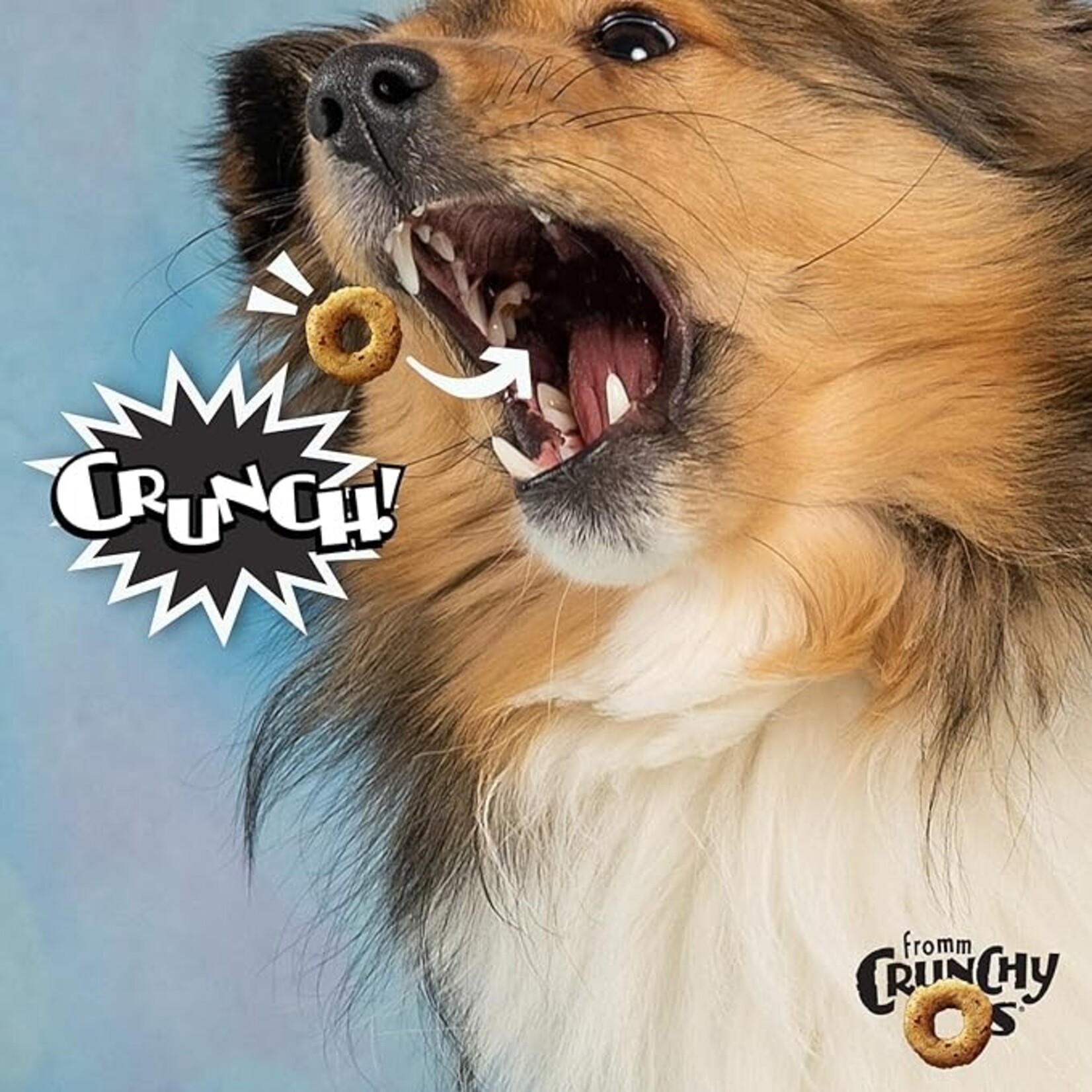 Fromm Fromm Dog Crunchy O's Bacon Blasters 6oz