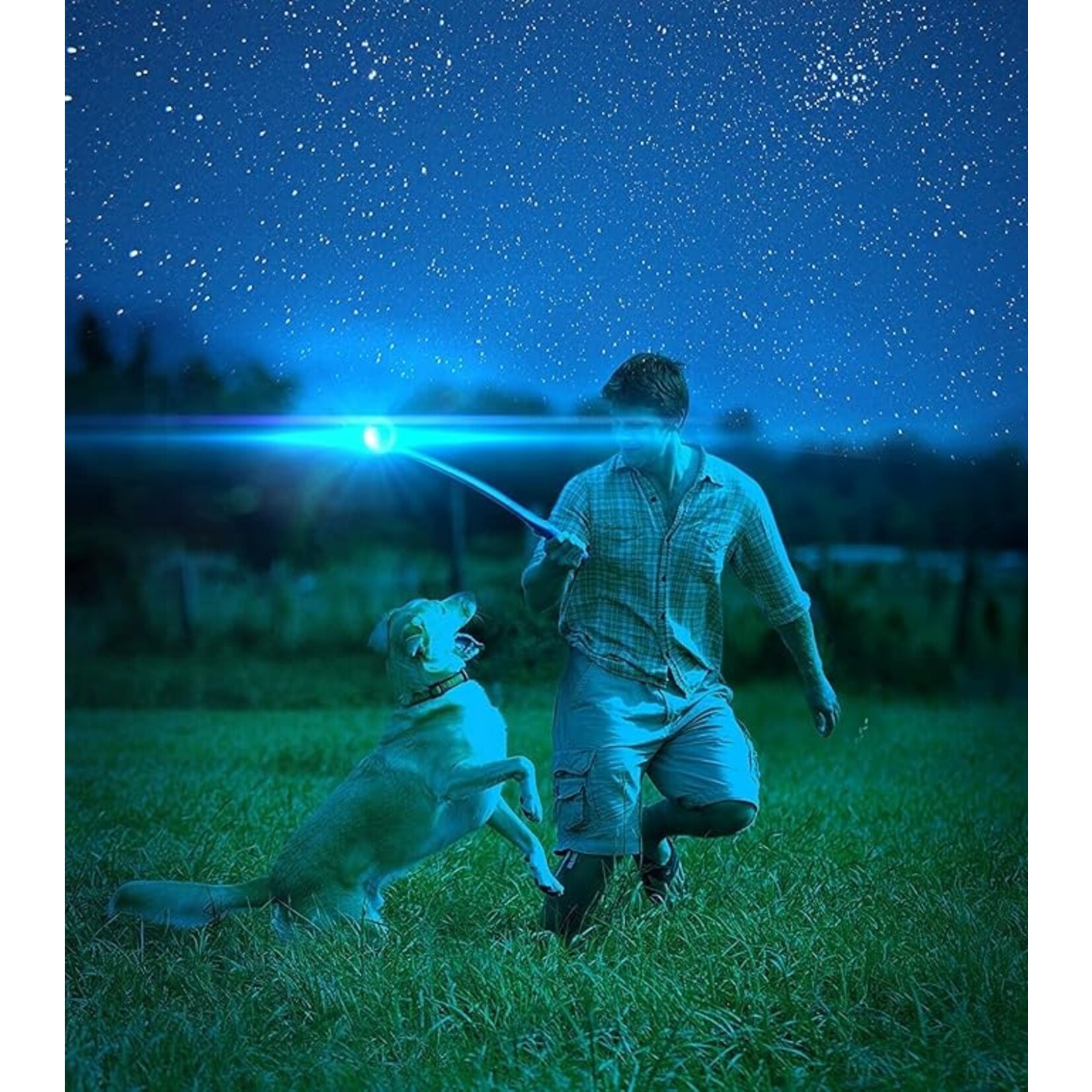 CHUCK IT! Chuckit! Max Glow Ball Large