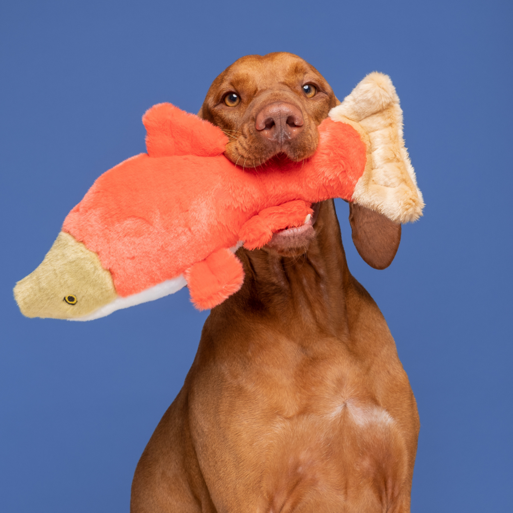 Fluff & Tuff Fluff & Tuff Cedar Salmon