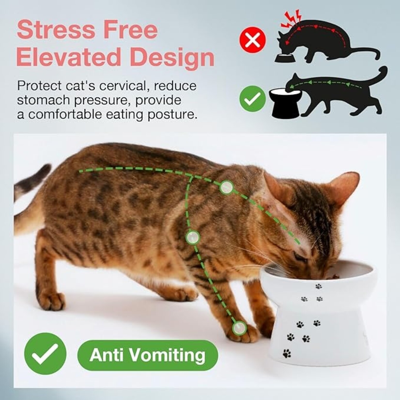 Necoichi Necoichi Raised Cat Food Bowl