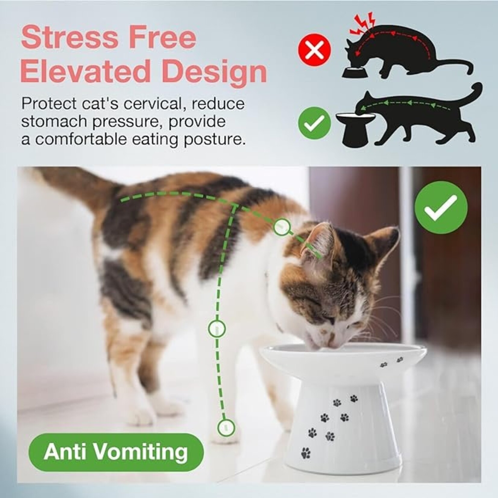 Necoichi Necoichi ExWide Raised Cat Food Bowl