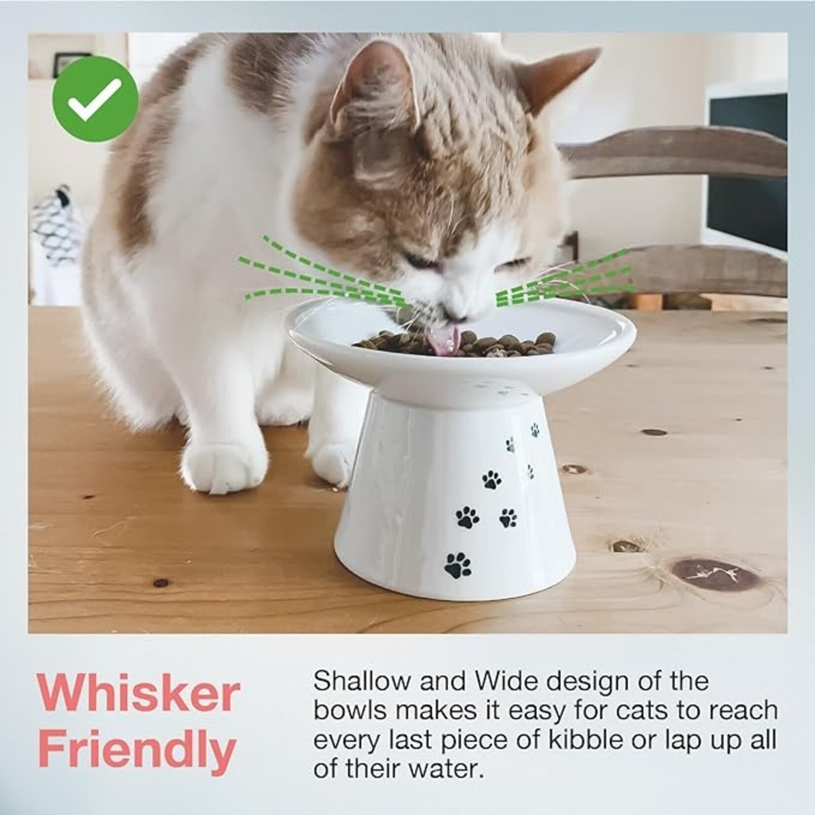 Necoichi Necoichi ExWide Raised Cat Food Bowl