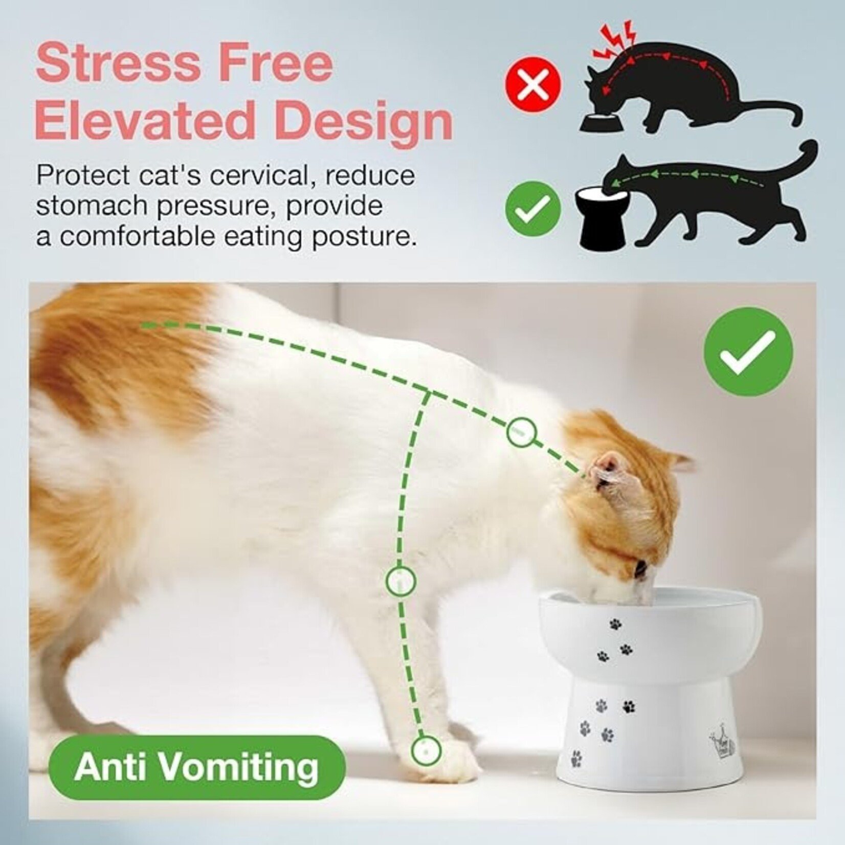 Necoichi Necoichi Raised Cat Water Bowl