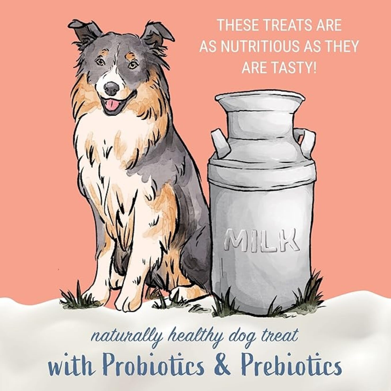 Himalayan Pet Supply Yogurt Sticks With Bacon 5pk