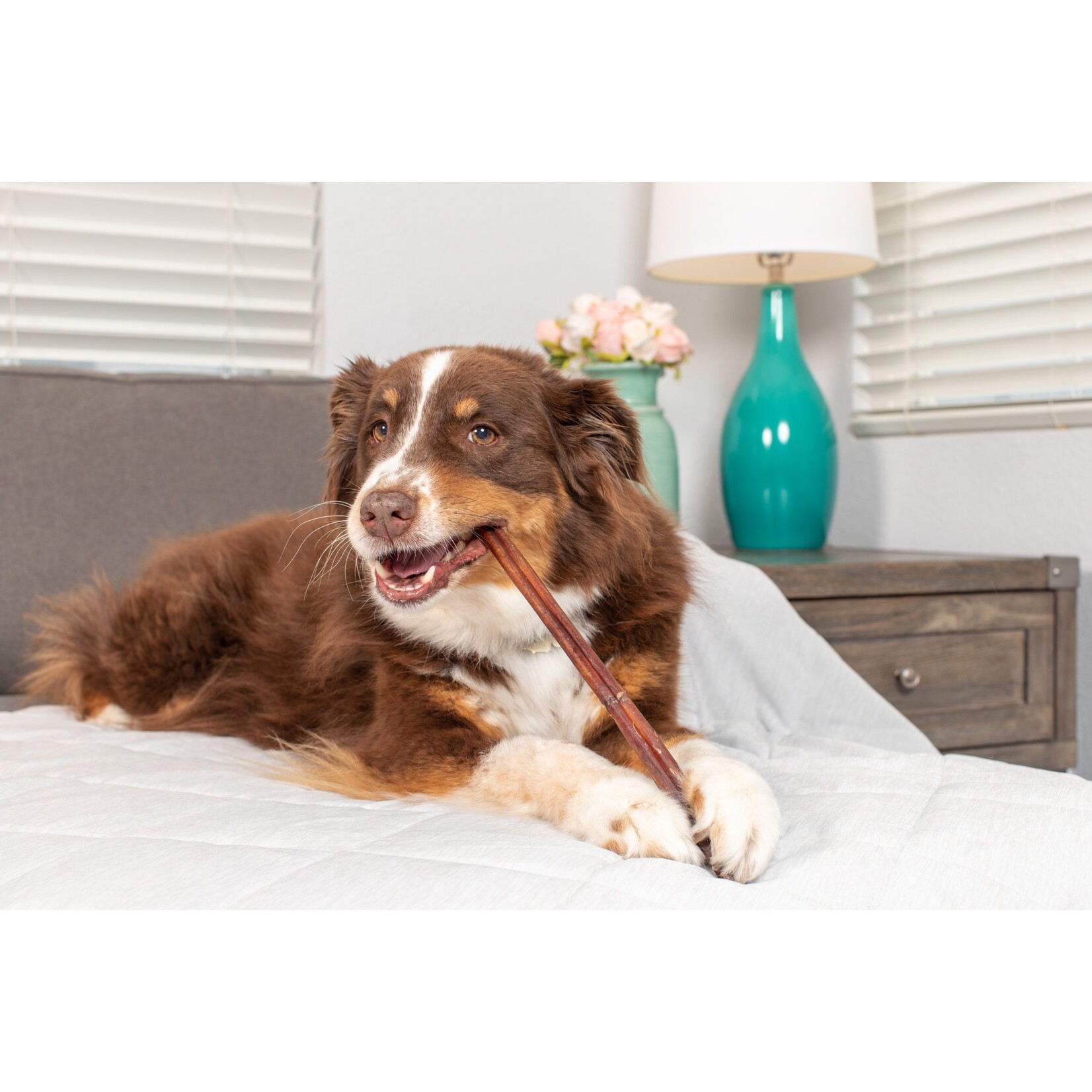 Barking Buddha Barking Buddha 11-12" Longlastics Collagen Chew (case 40)