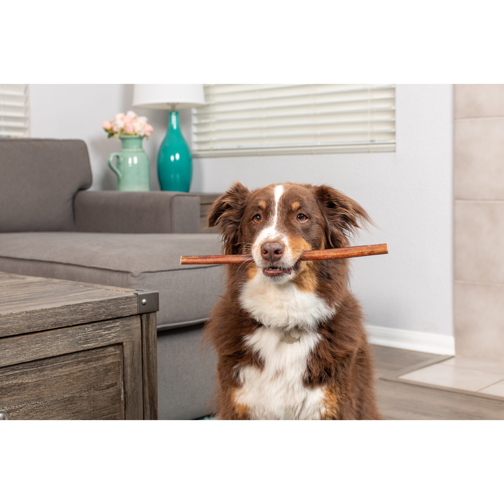 Barking Buddha Barking Buddha 11-12" Longlastics Collagen Chew (case 40)