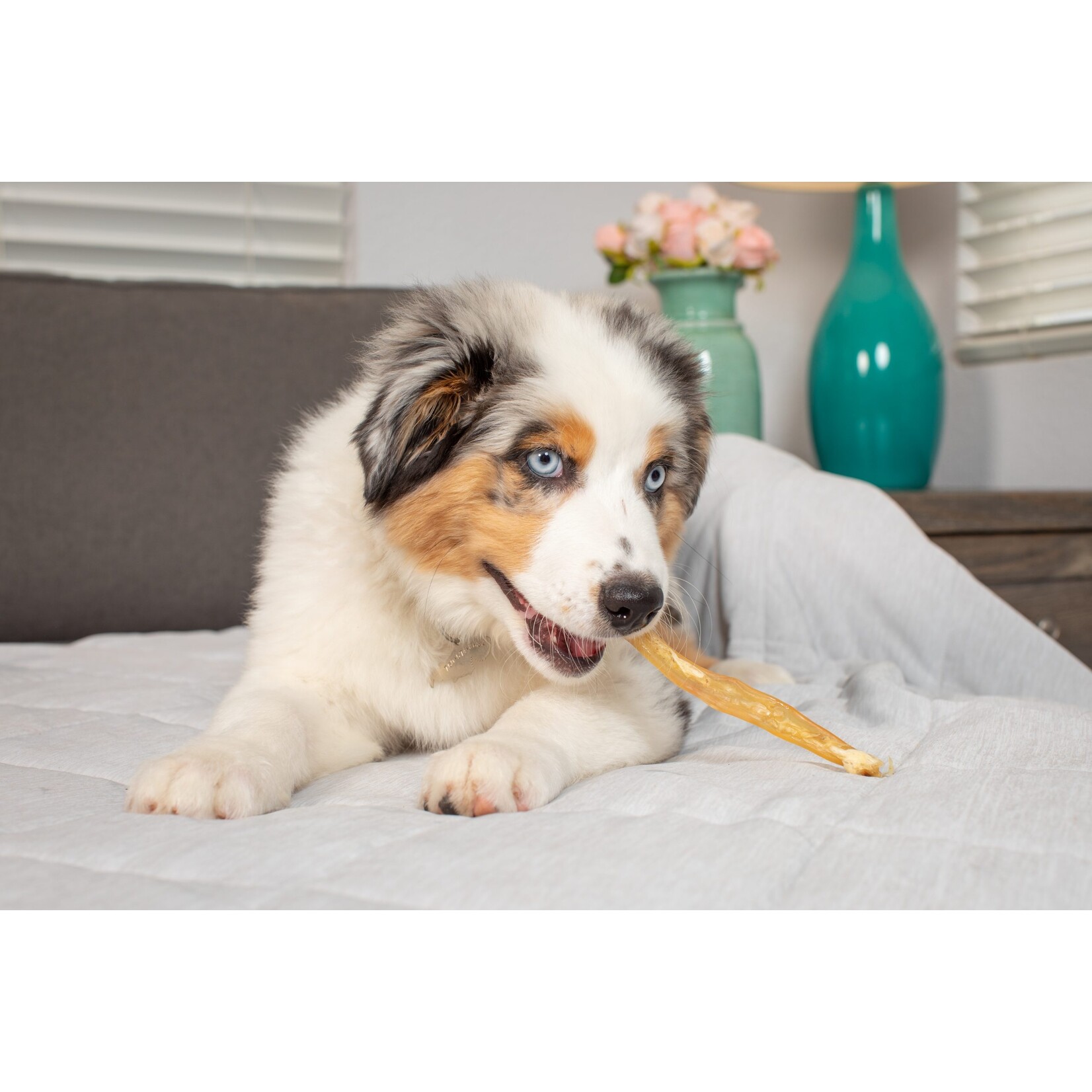 Natural Cravings Natural Cravings Beef Tendon (50 case)