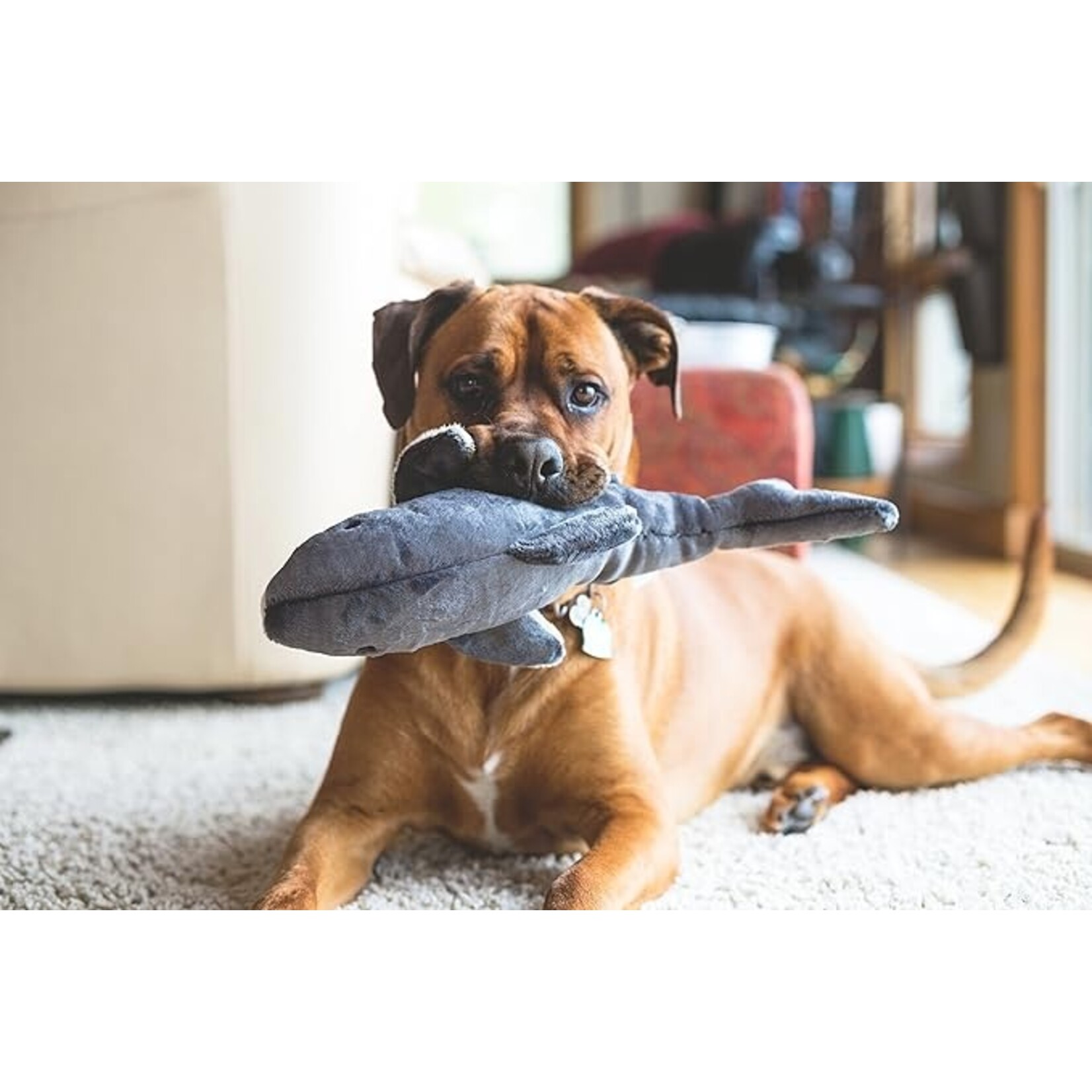 Fluff & Tuff Fluff & Tuff Mac the Shark