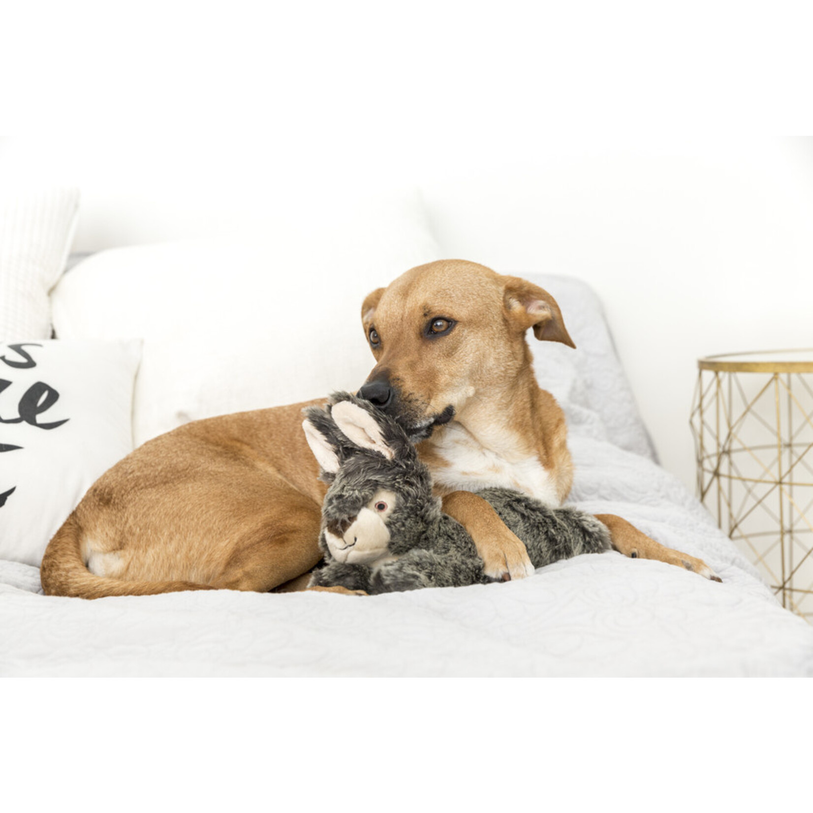 Fluff & Tuff Fluff & Tuff Walter Wabbit