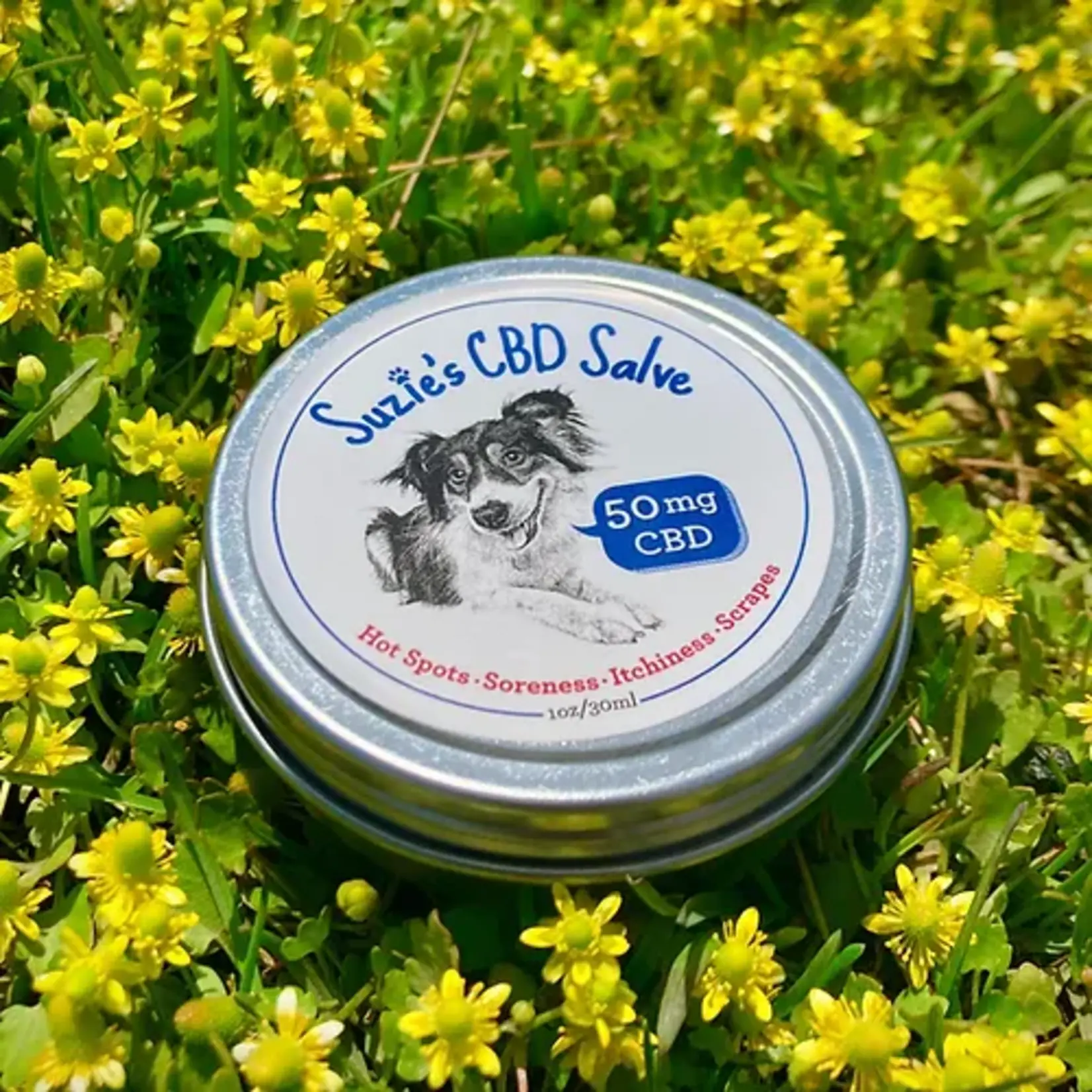 SUZIE Suzie’s 50mg CBD Salve 1oz